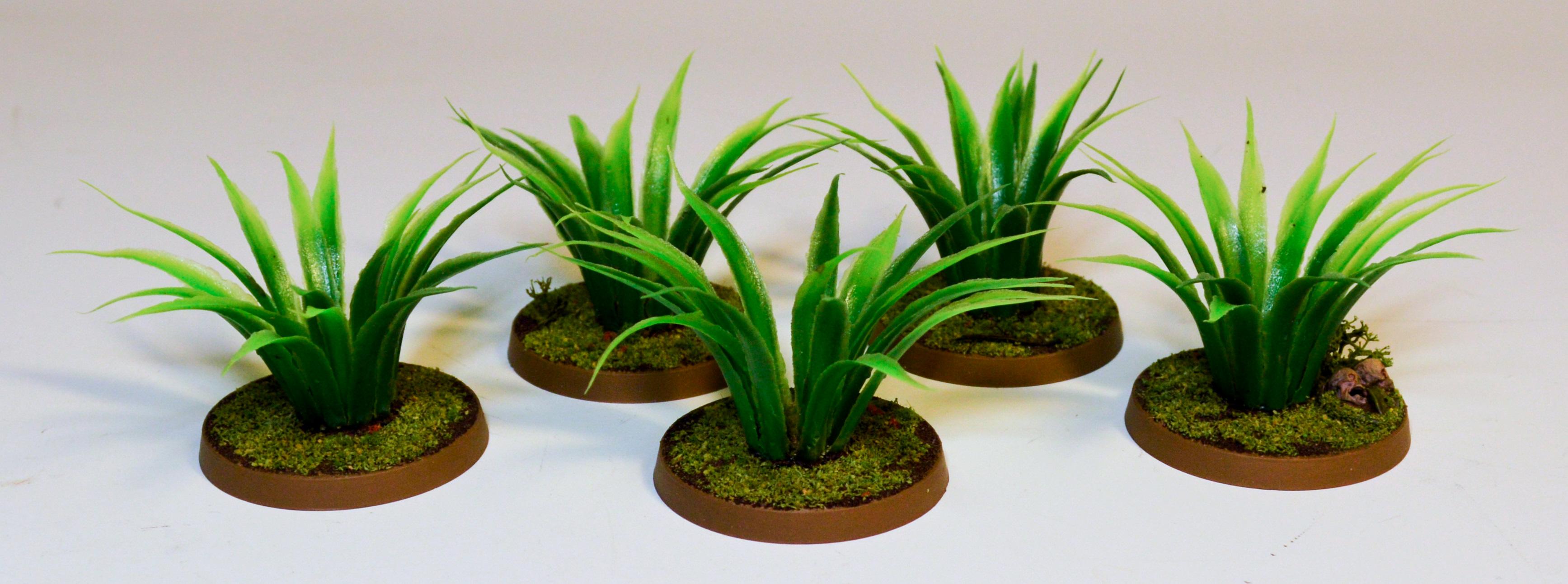 Jungle Floor, Terrain