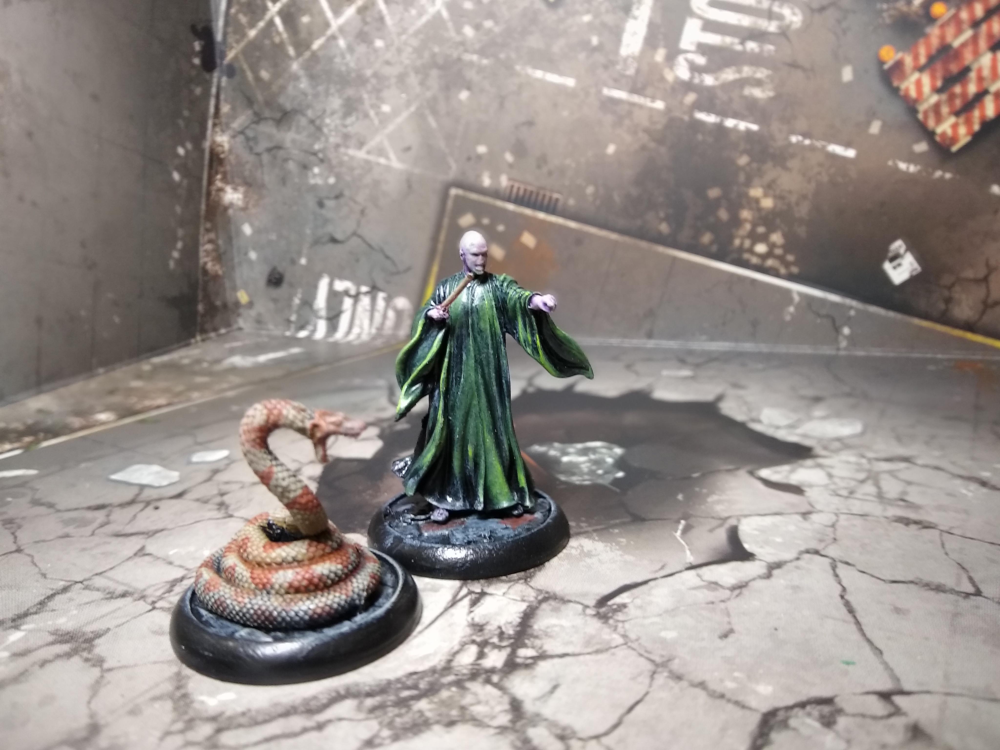 Voldemort &amp; Nagini