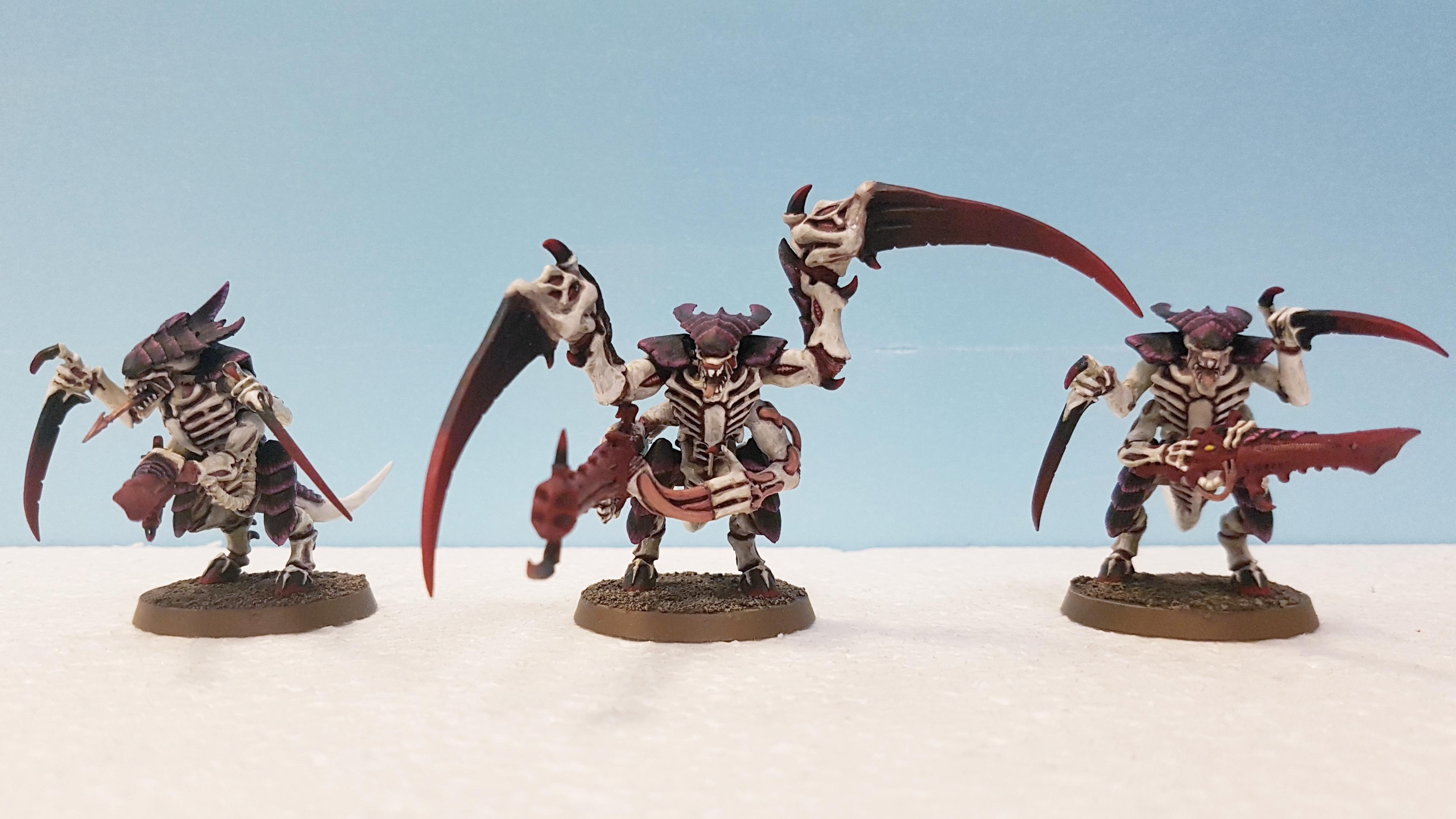 Warriors