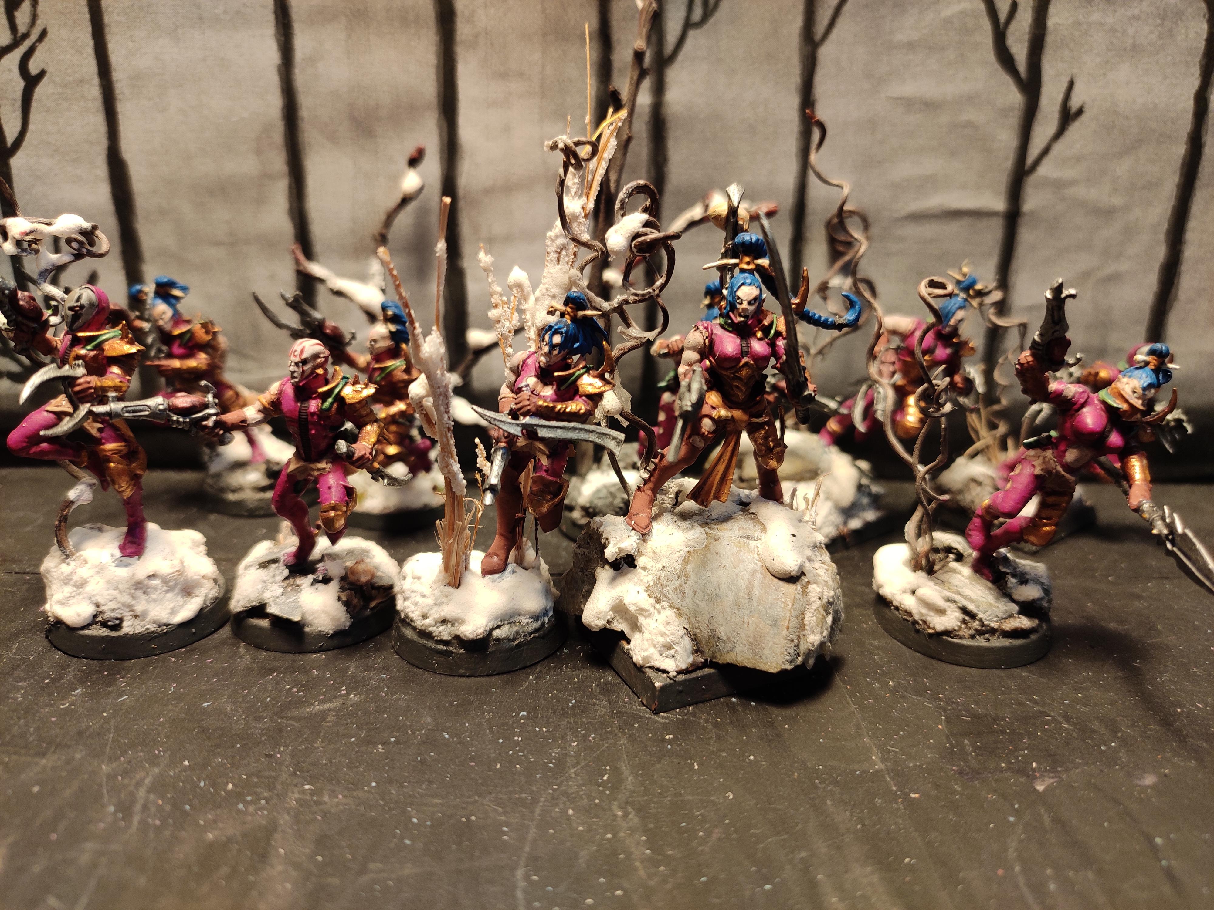 Blades, Blast Pistol, Commorragh, Conversion, Coven, Dagger, Dark Eldar, Drukhari, Infantry, Kabal, Regiment, Snow, Spear, Sword, Warhammer 40,000, Wych, Wyches, Xenos