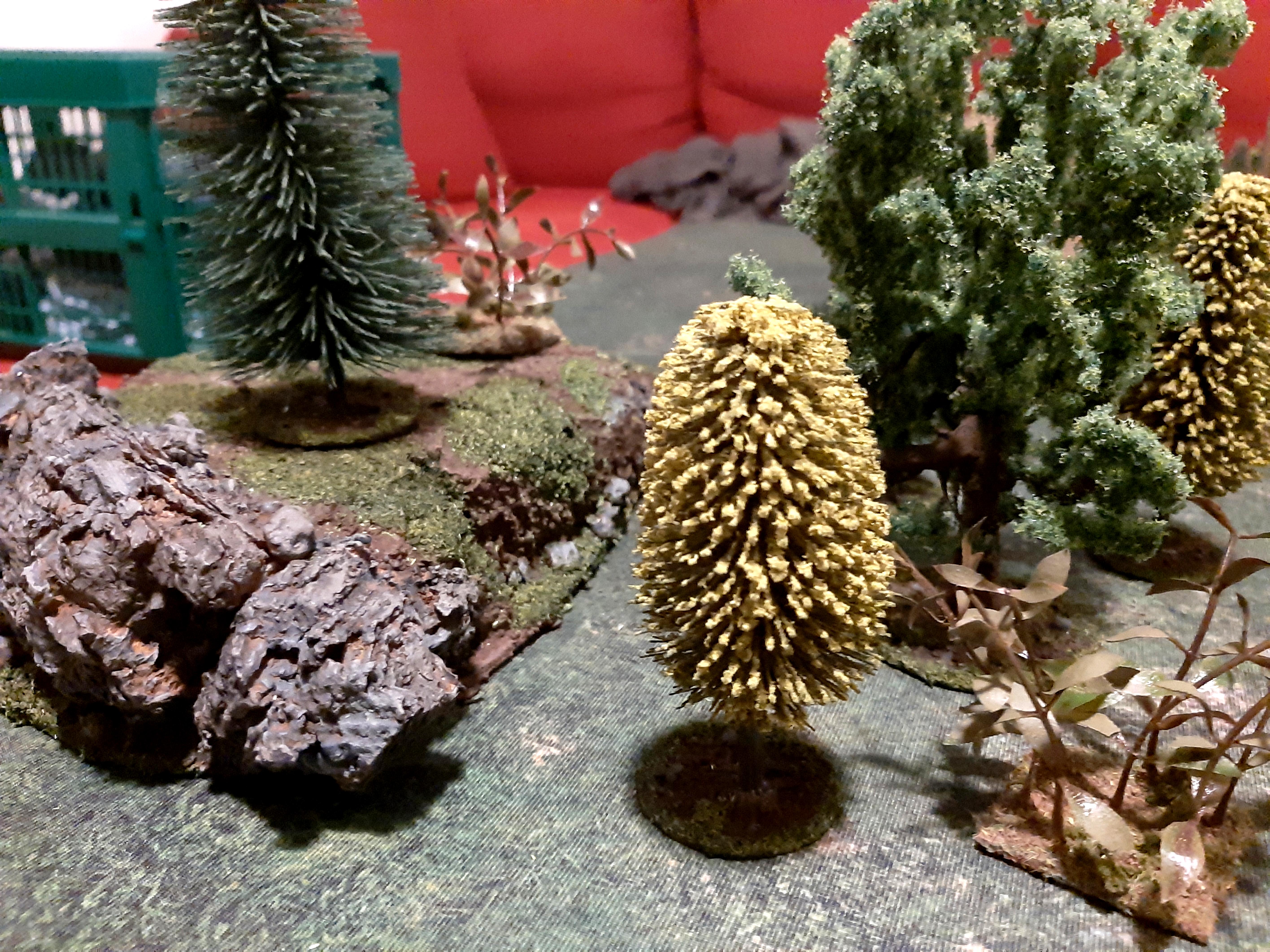 More forest
