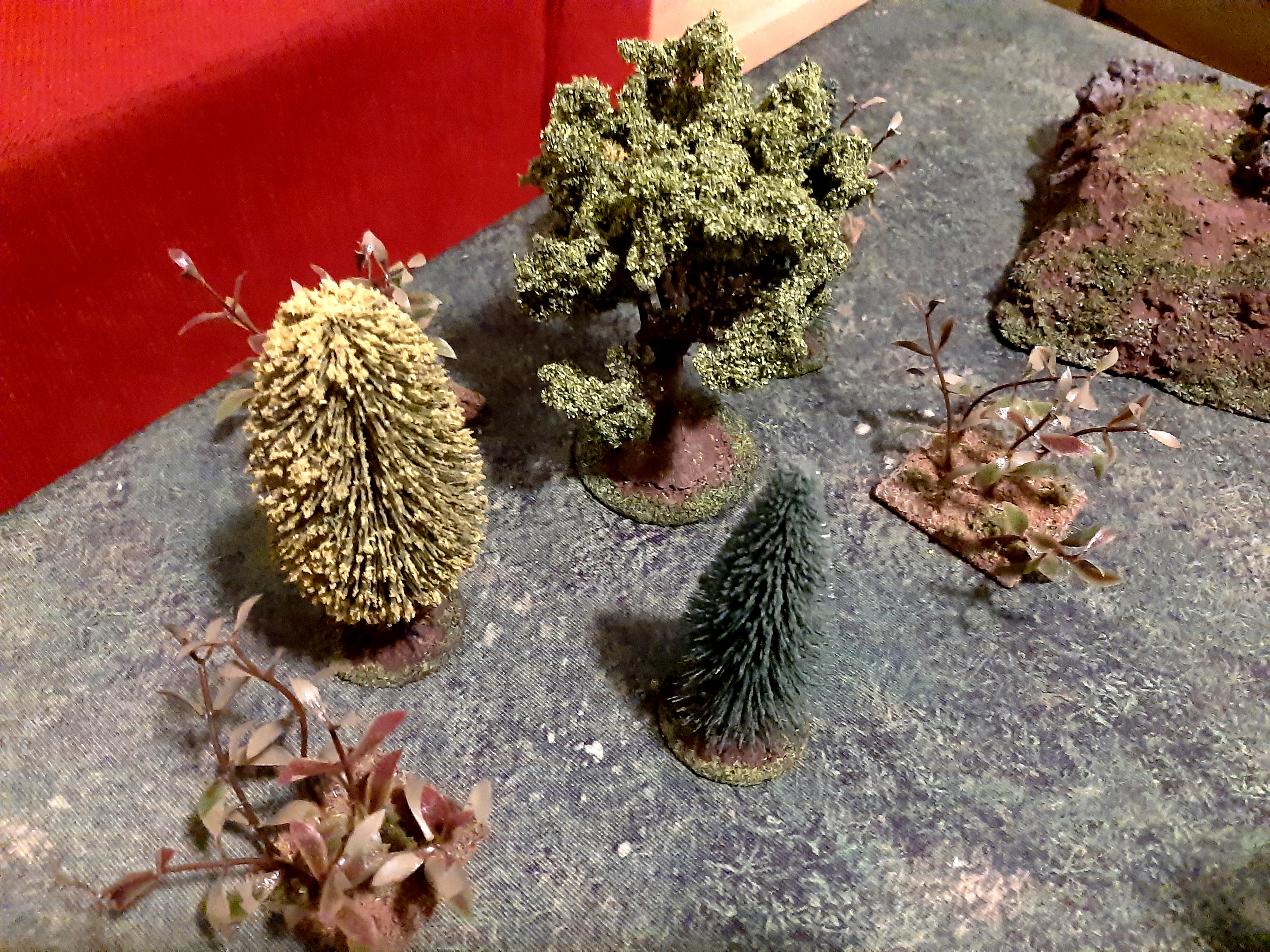 Forest