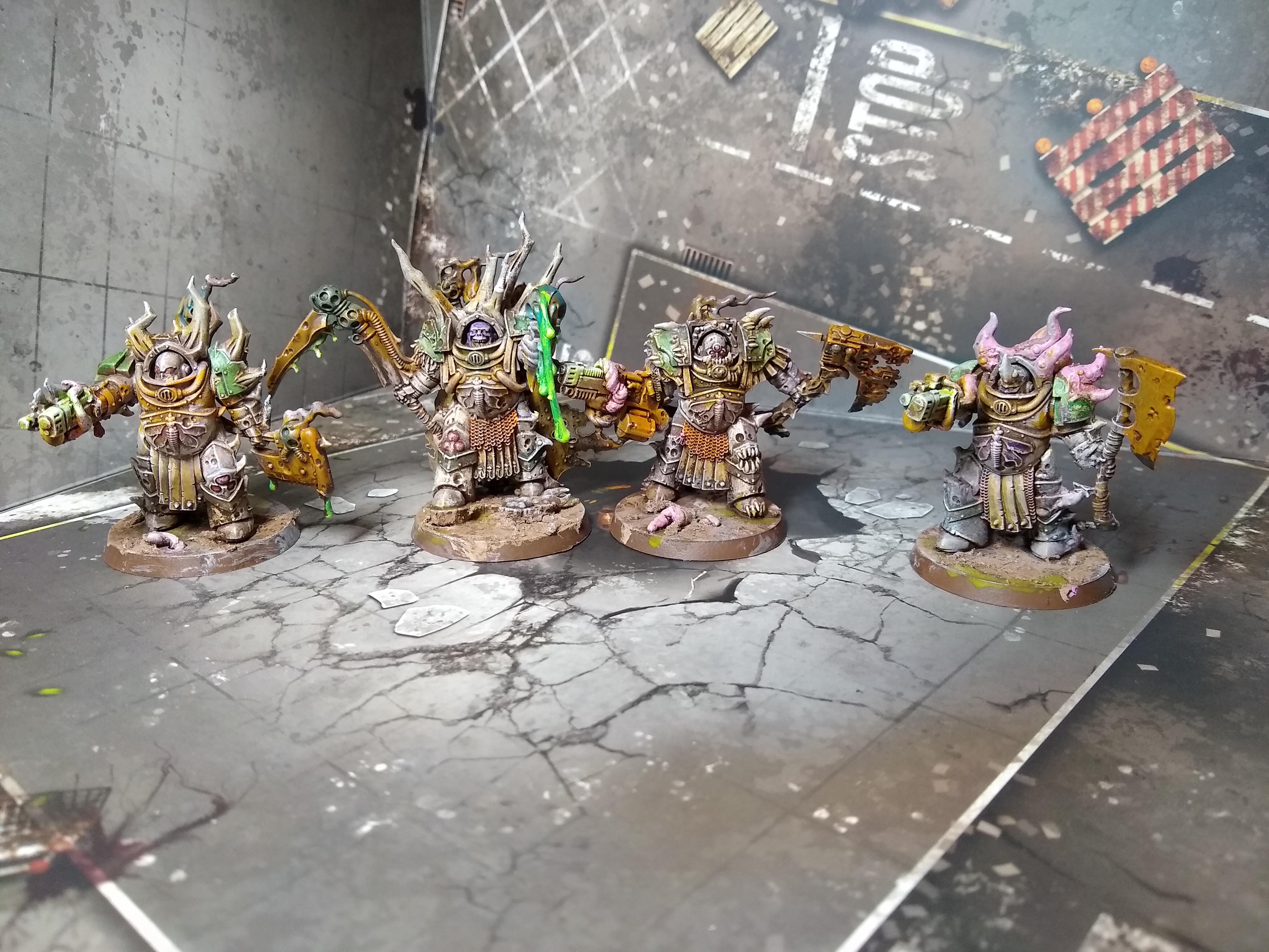 Felthius cohort 2