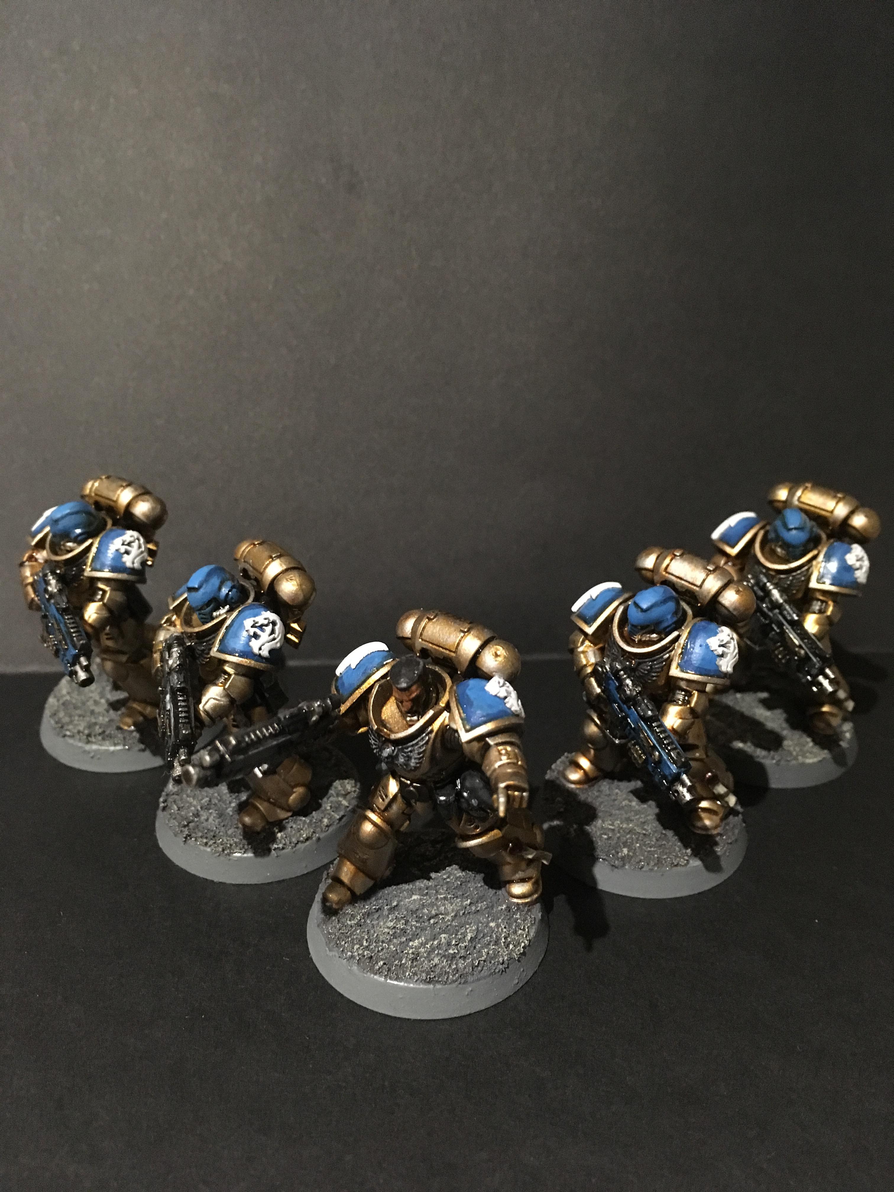 Celestial Lions, Hellblasters, Interceptors, Intercessors, Primaris Space Marines, Space Marines