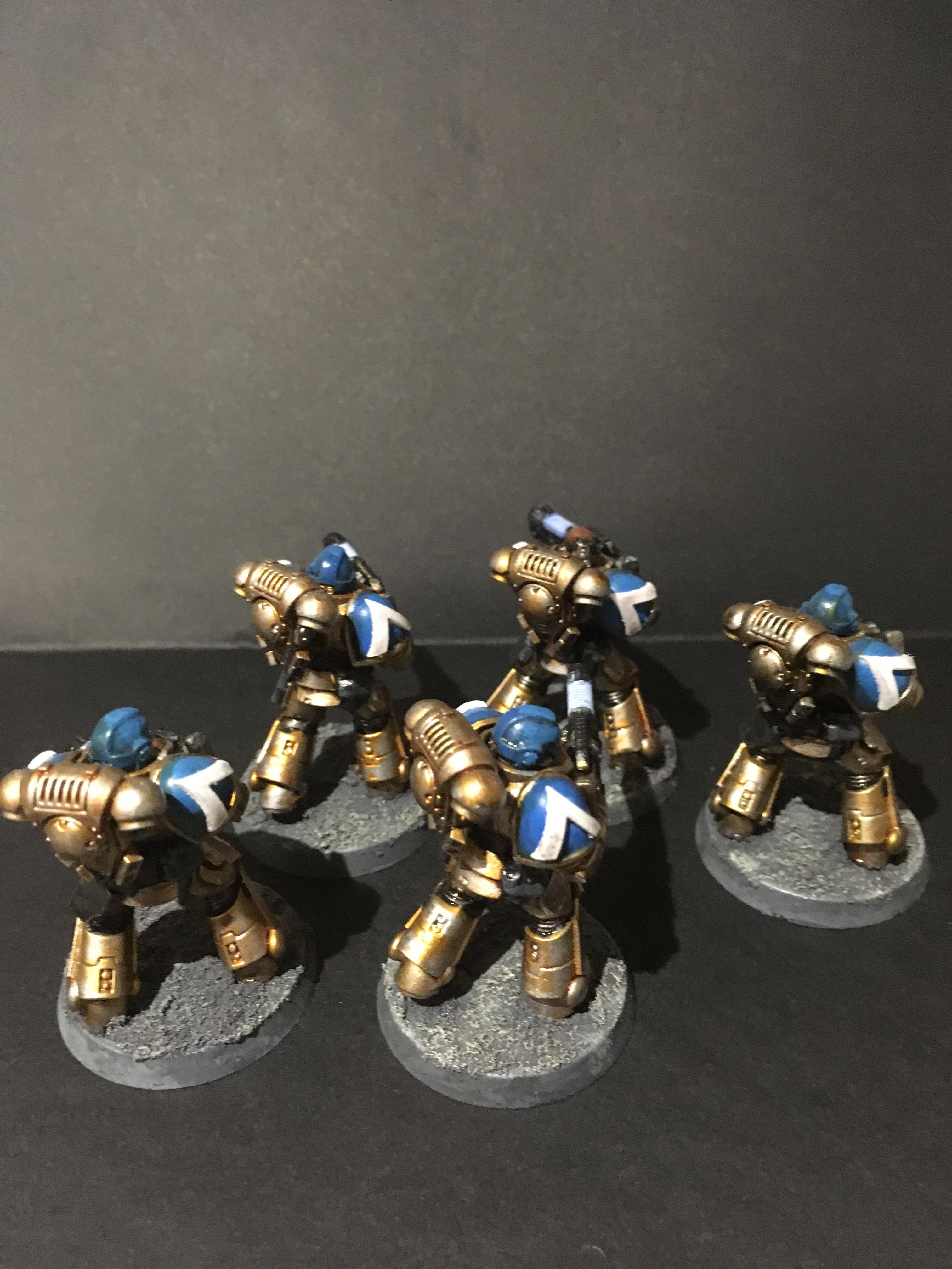 Celestial Lions, Hellblasters, Interceptors, Intercessors, Primaris Space Marines, Space Marines