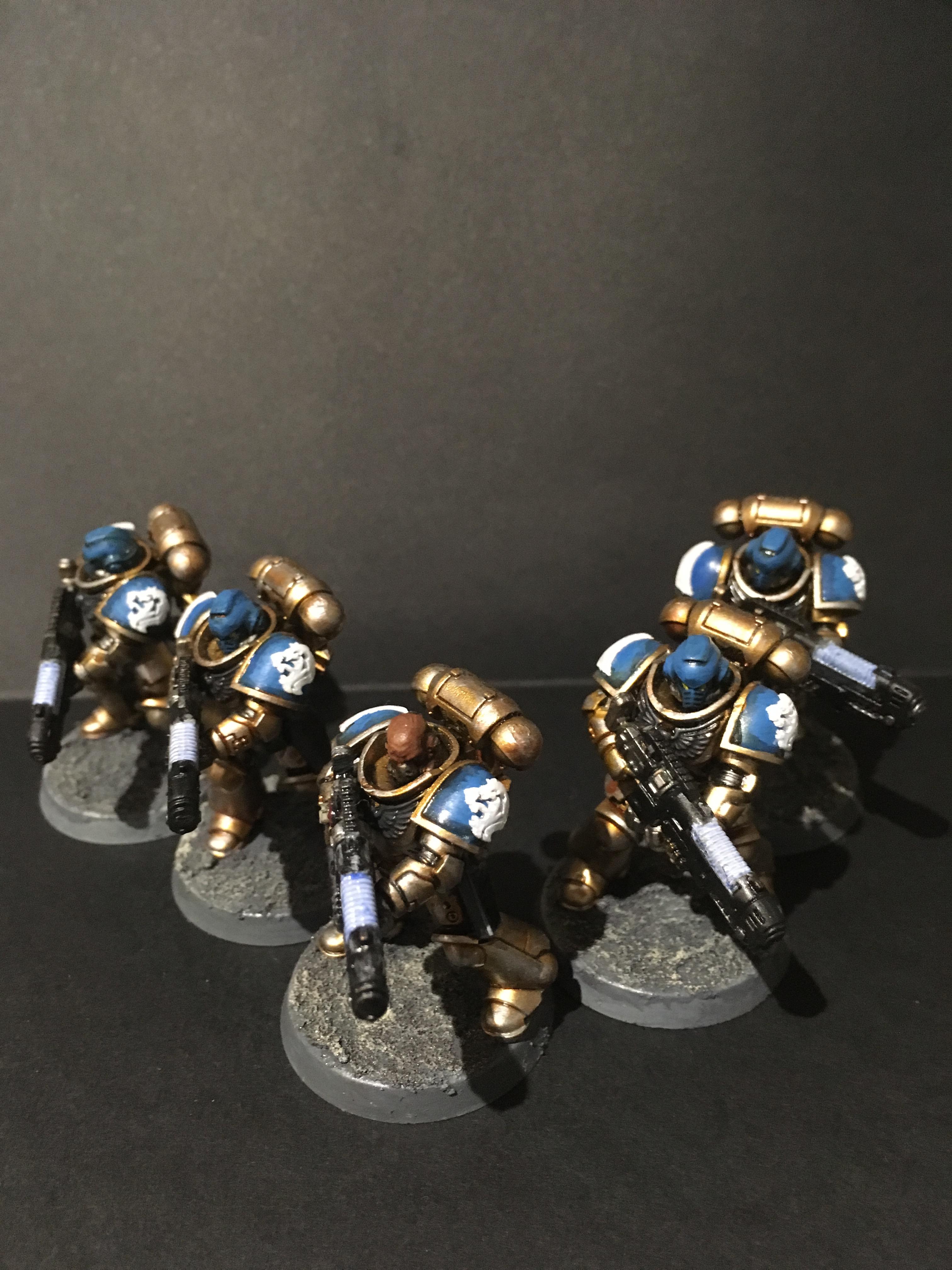 Celestial Lions, Hellblasters, Interceptors, Intercessors, Primaris Space Marines, Space Marines