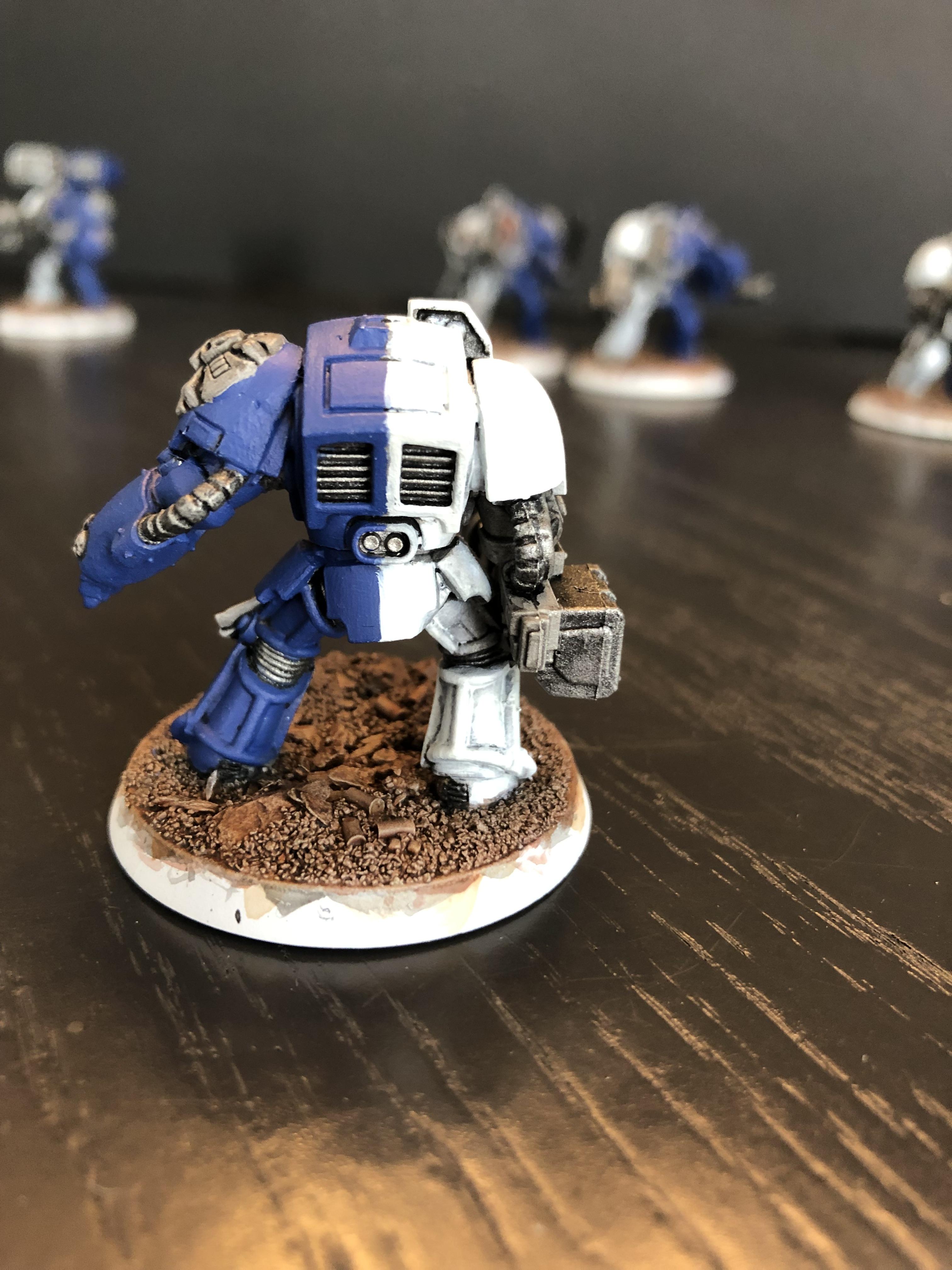Marines Errant WIP Terminator