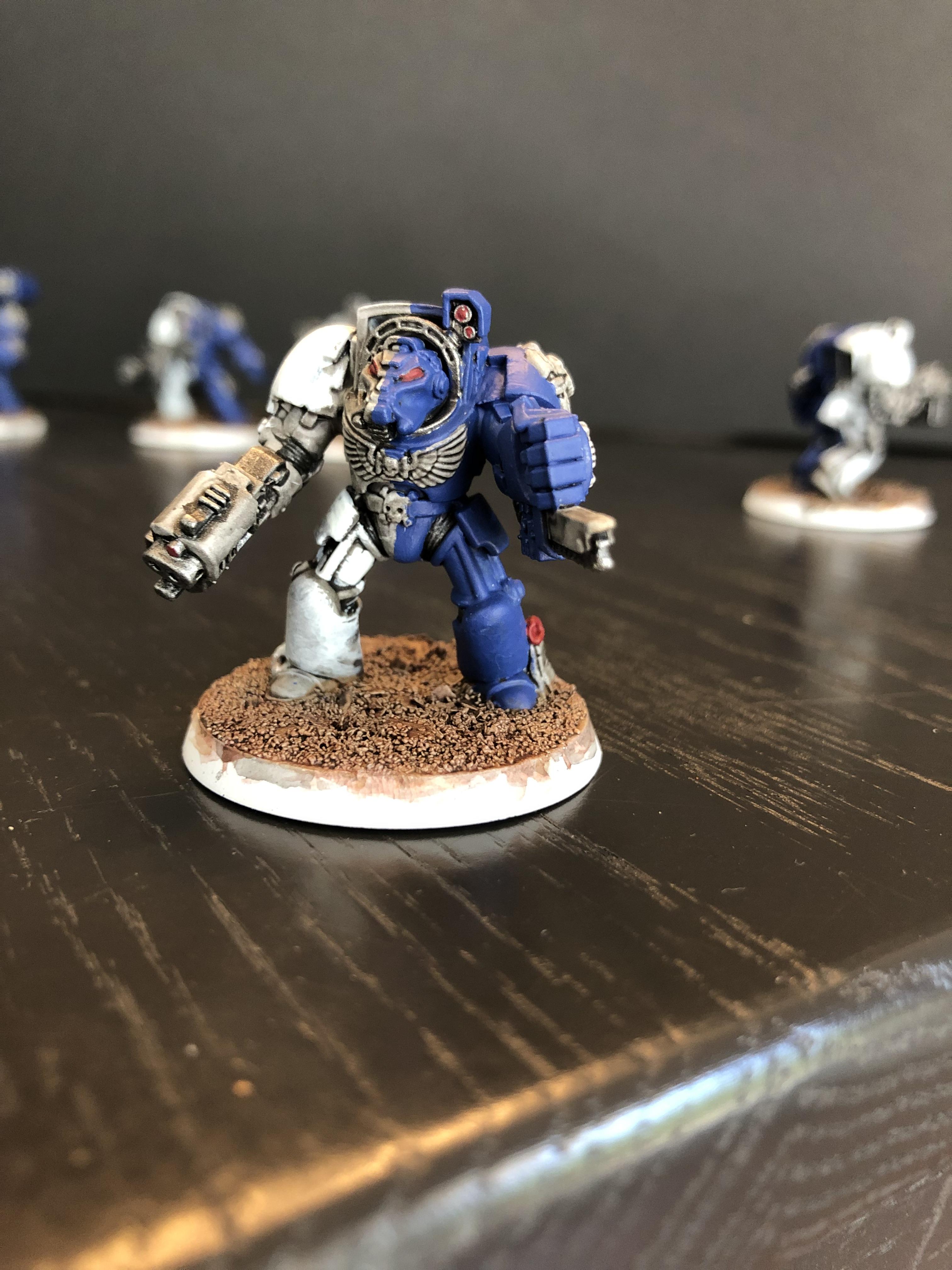 Marines Errant WIP Terminator