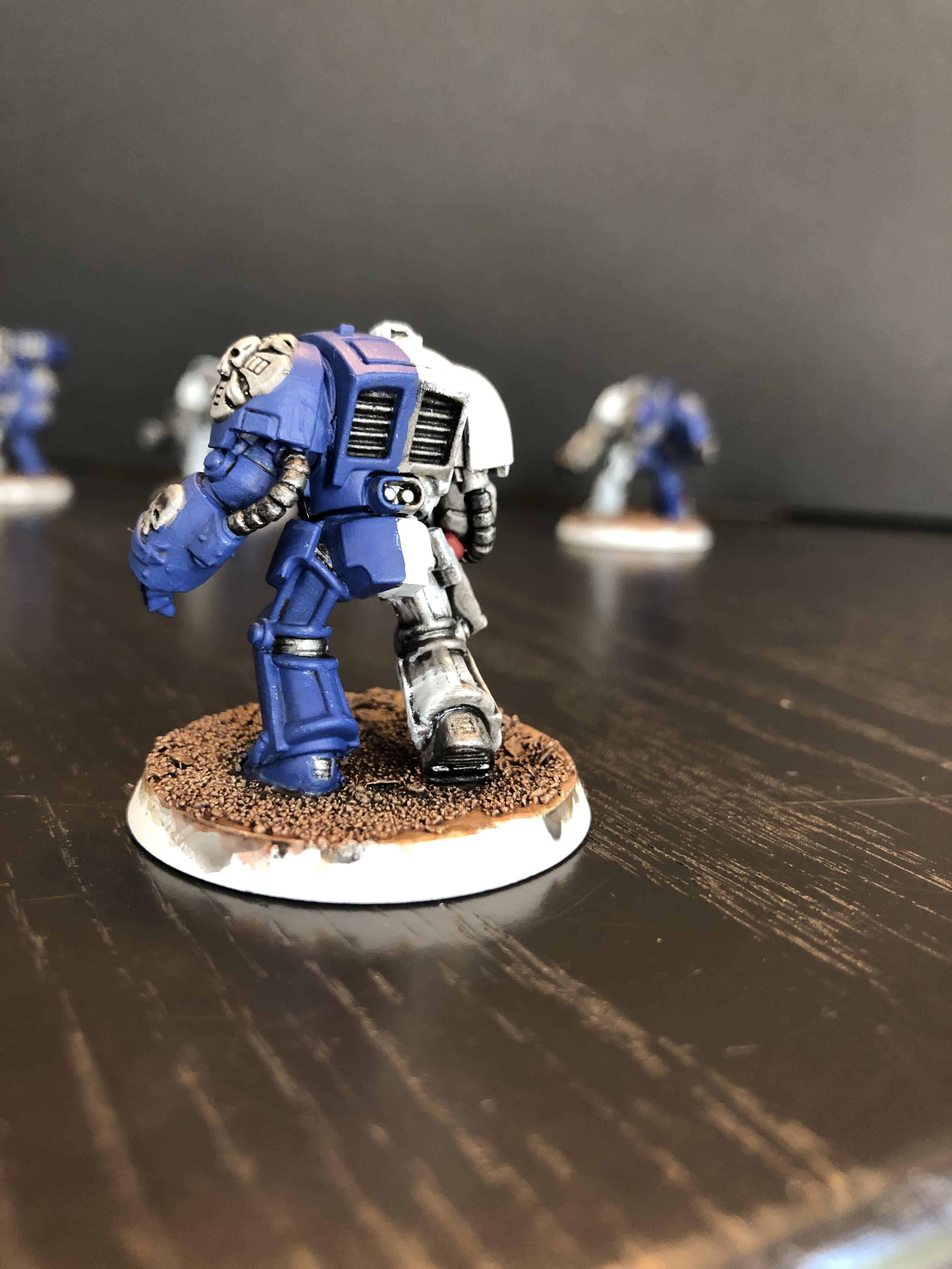 Marines Errant WIP Terminator