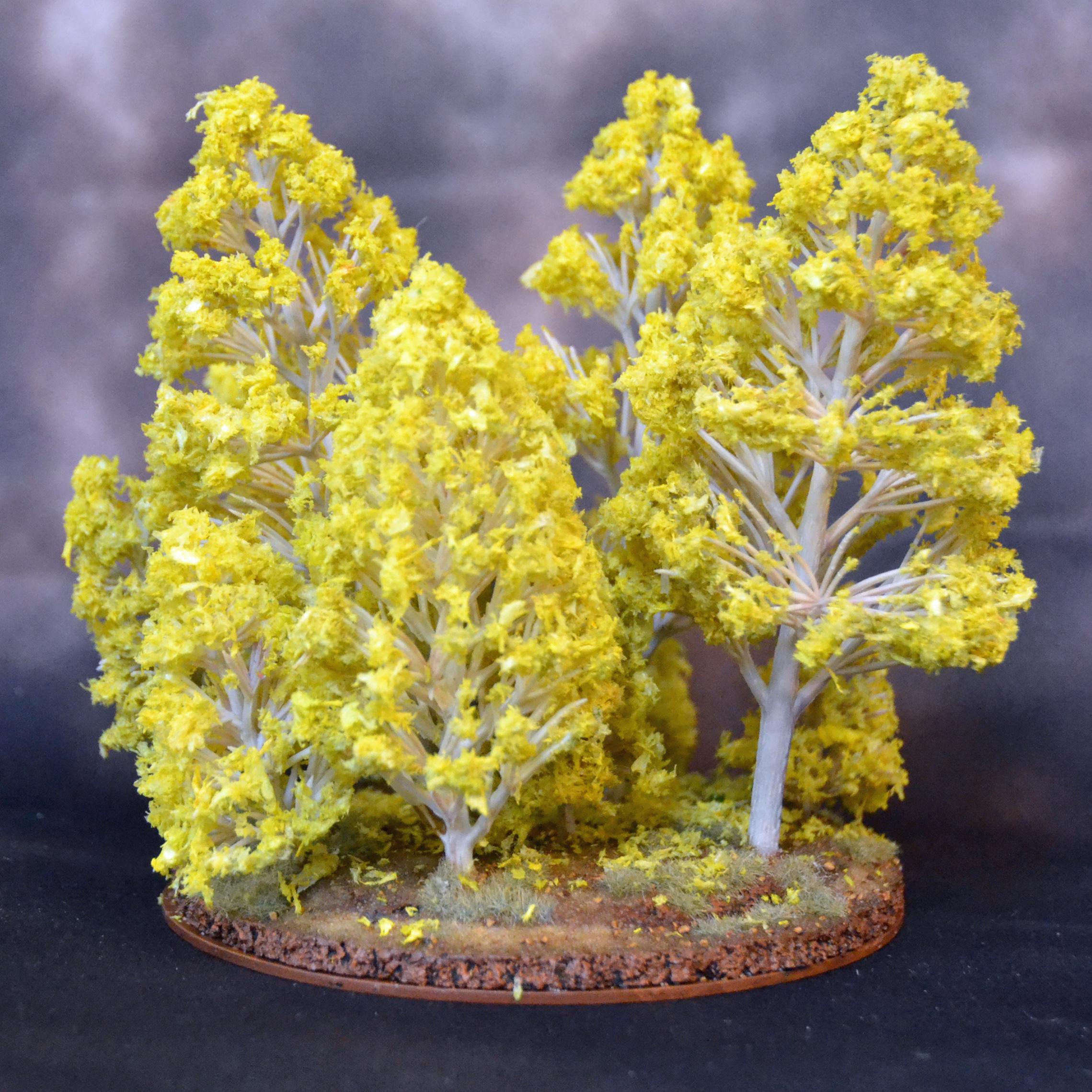 Birch, Bushido, Terrain