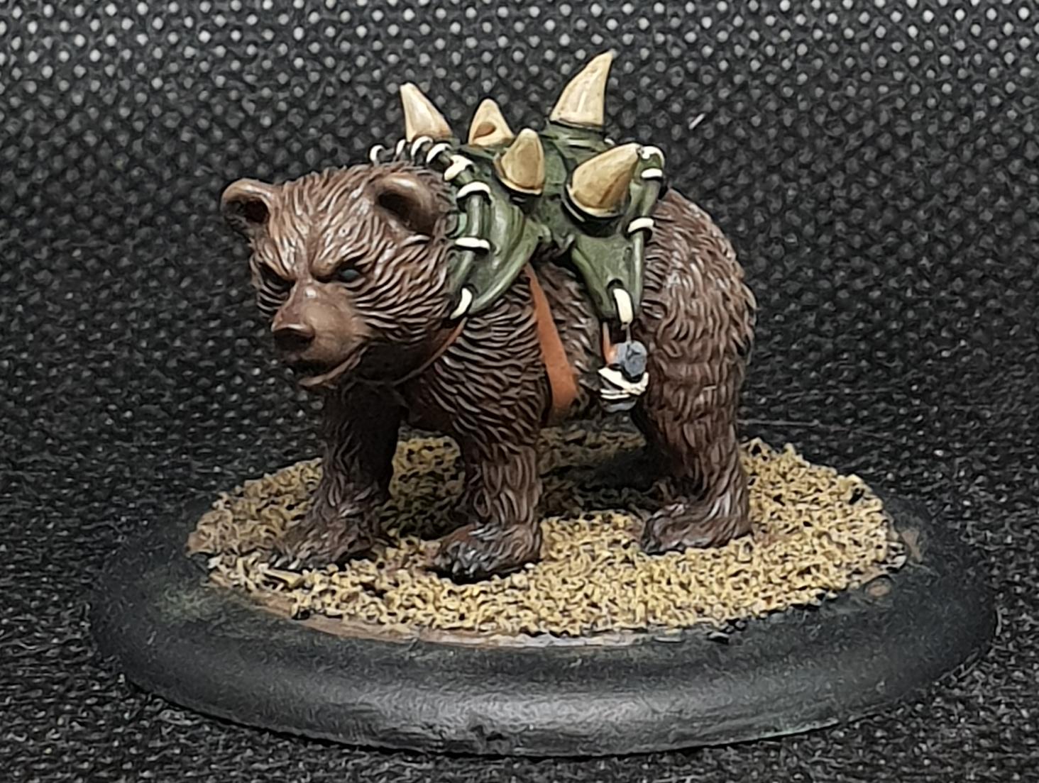 Bear, Guild Ball, Hunter's Guild, Rookie