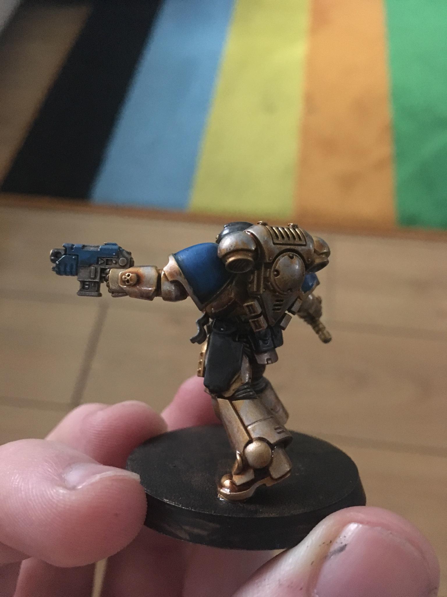 Celestial Lions, Primaris Space Marines, Space Marines