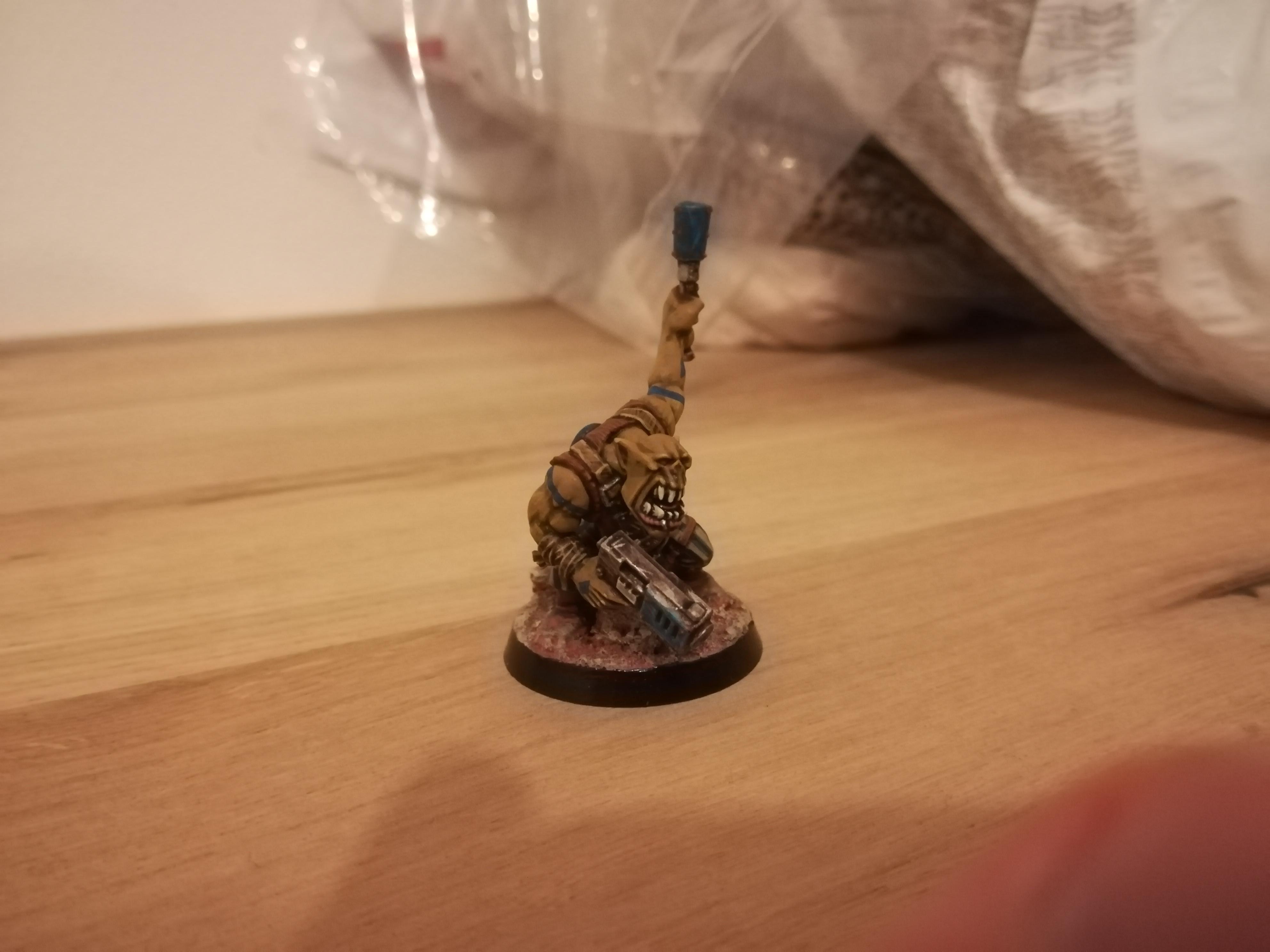 Ork Deathskull - Test