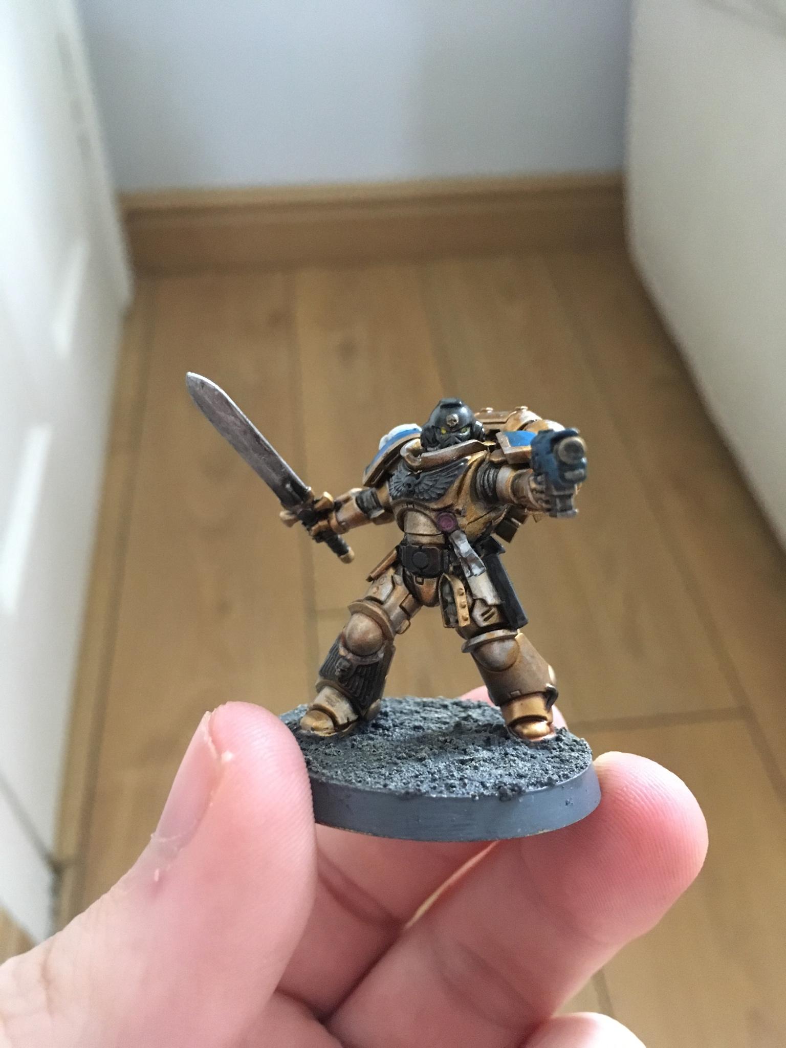 Celestial Lions, Primaris Space Marines, Space Marines