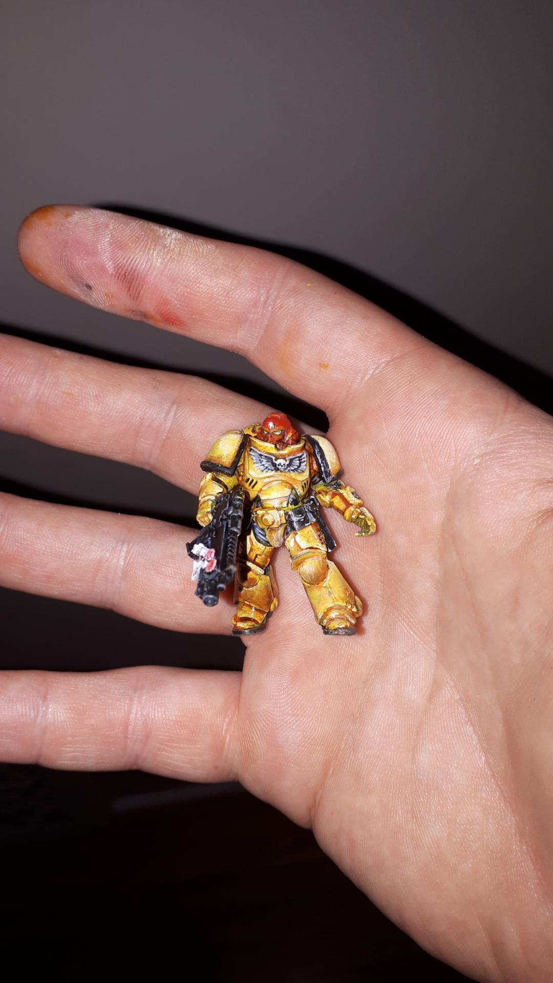 Imperial Fists, Imperial Fists Sergeant