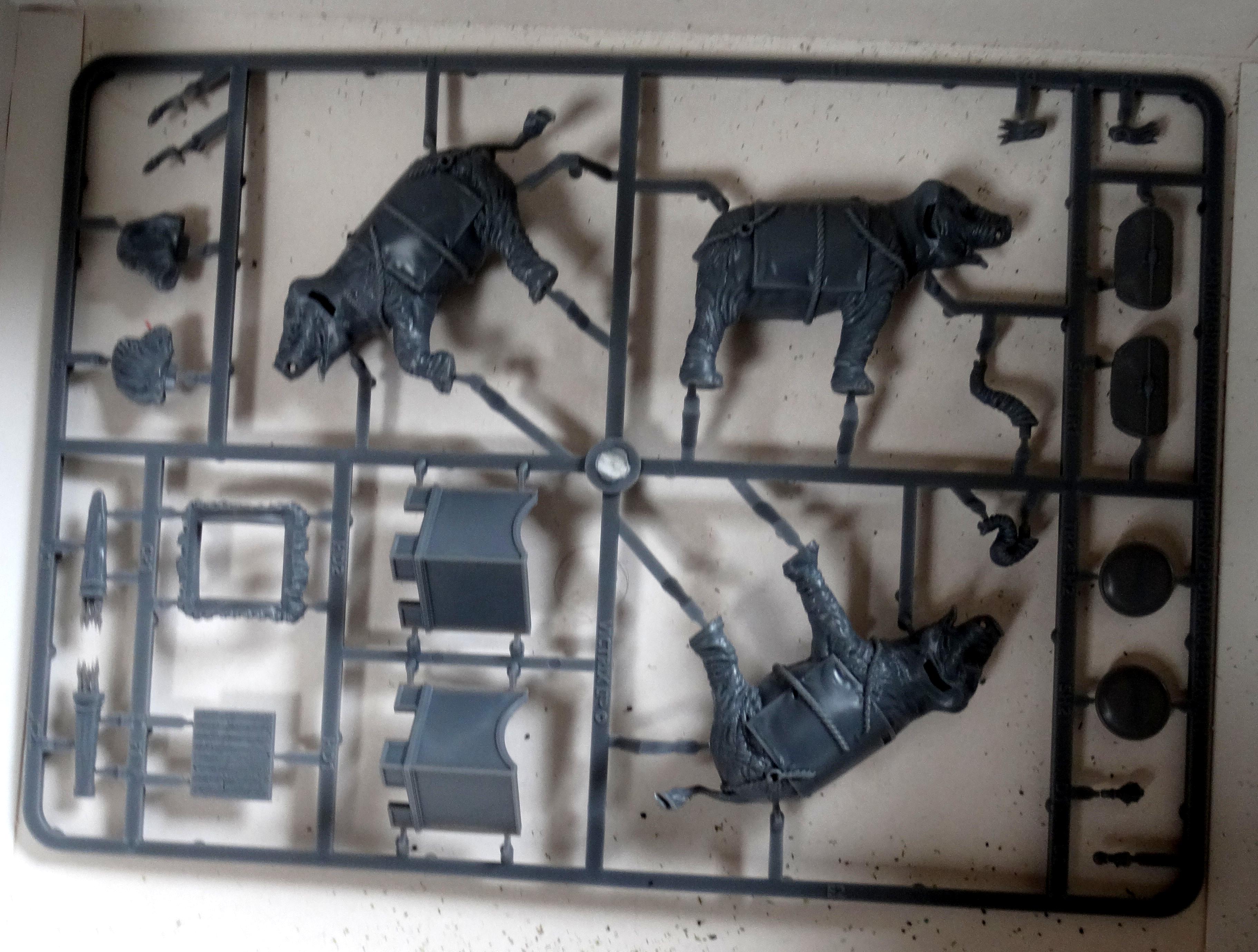 elephants