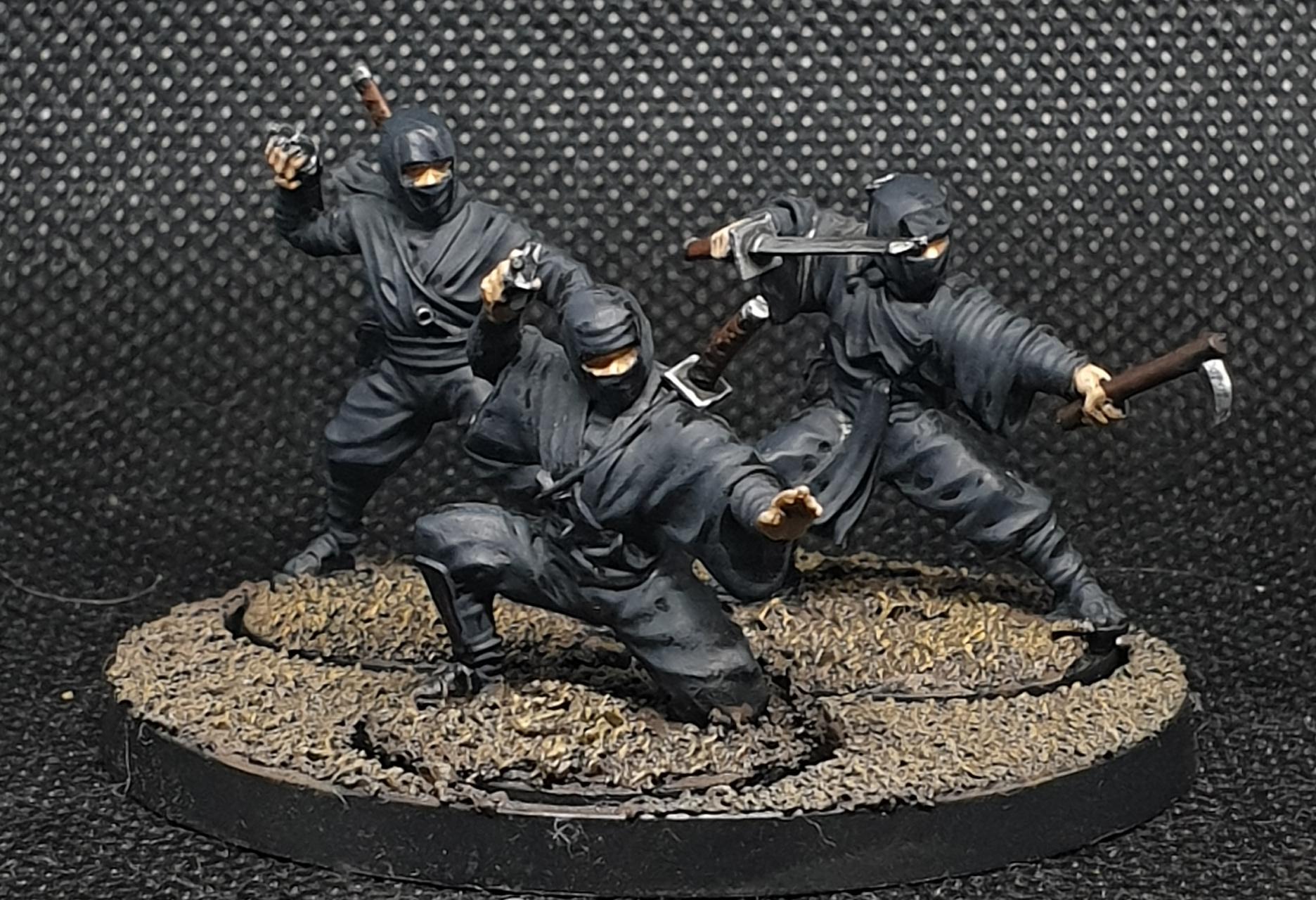 Ninjas, Test Of Honour
