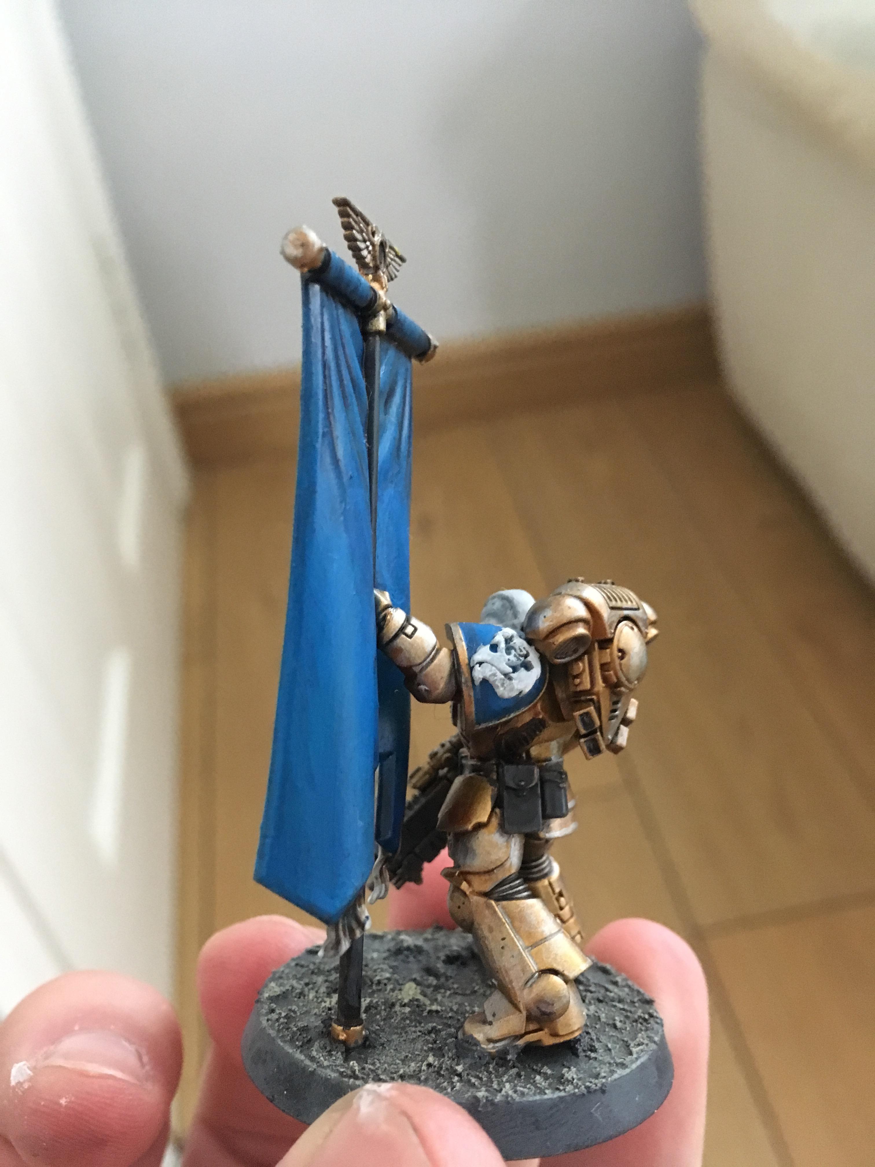 Celestial Lions, Primaris Space Marines