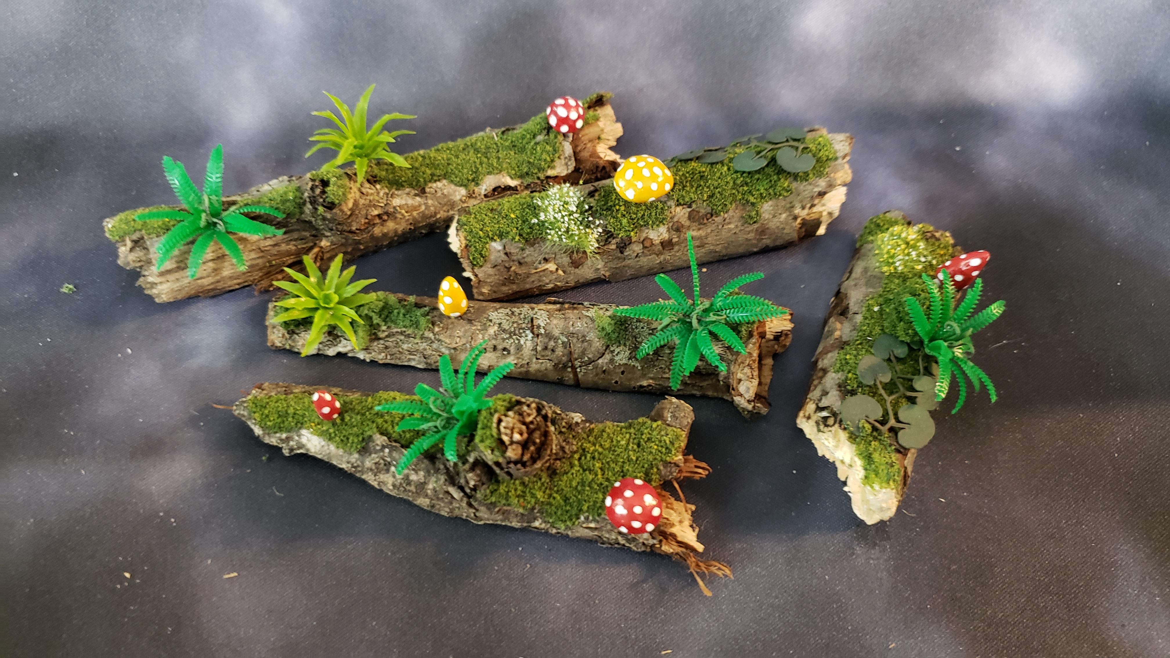 Mushrooms on logs