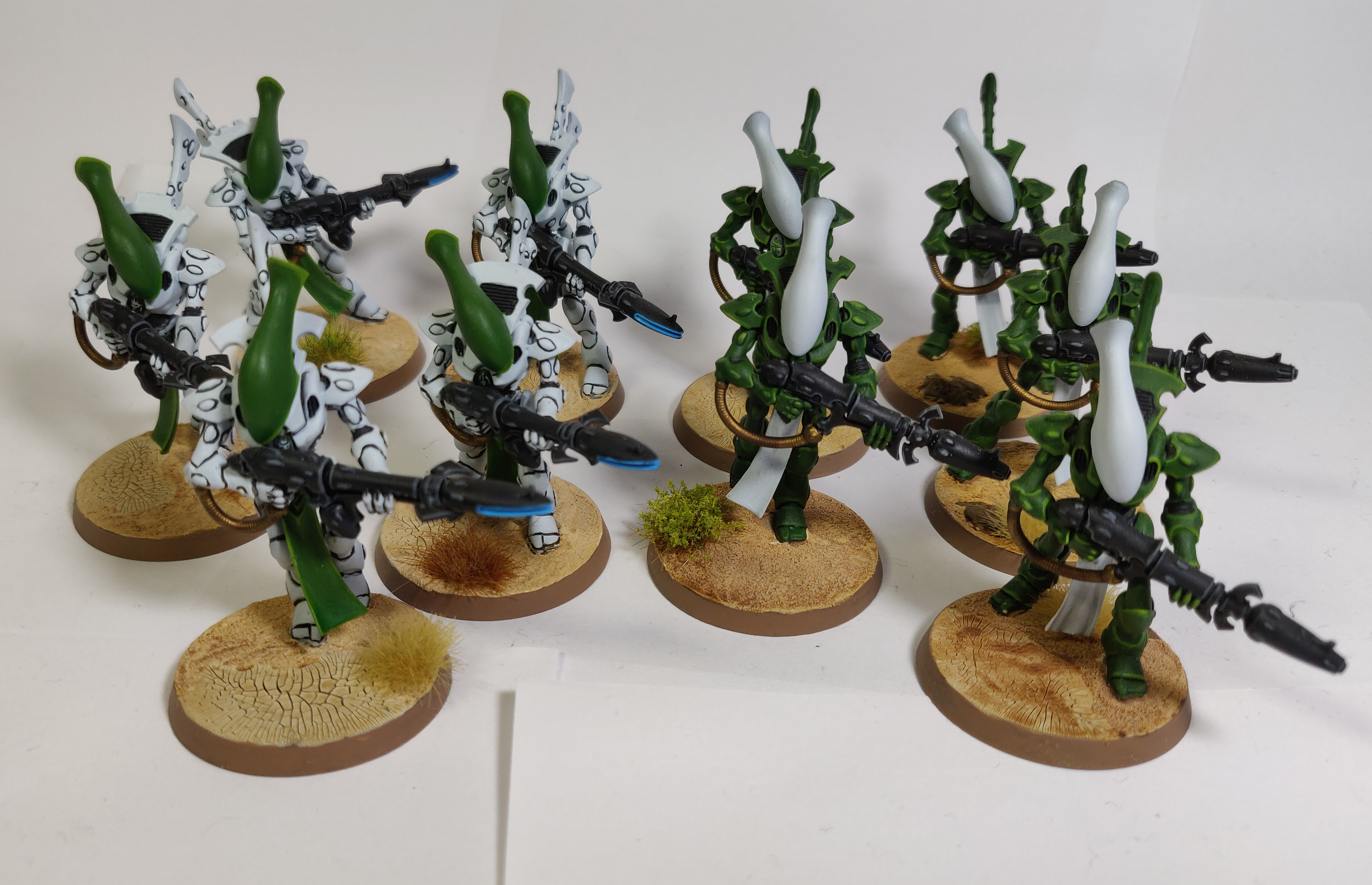 Biel-tan, Eldar, Wraithguard