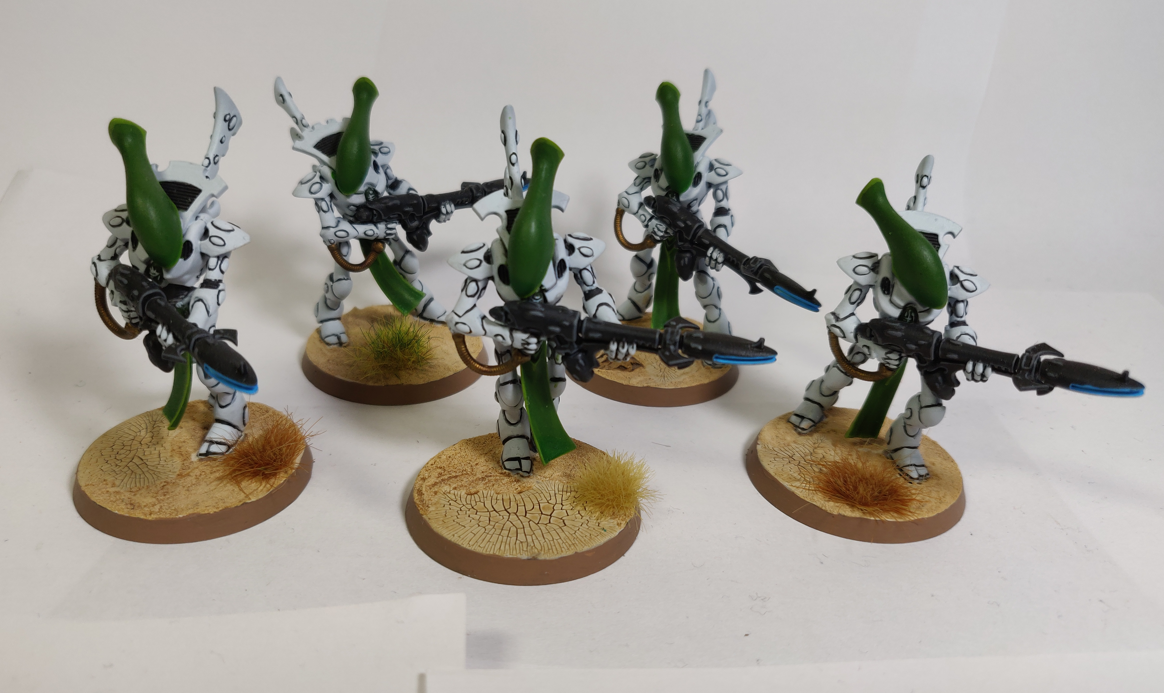 Biel-tan, Eldar, Wraithguard