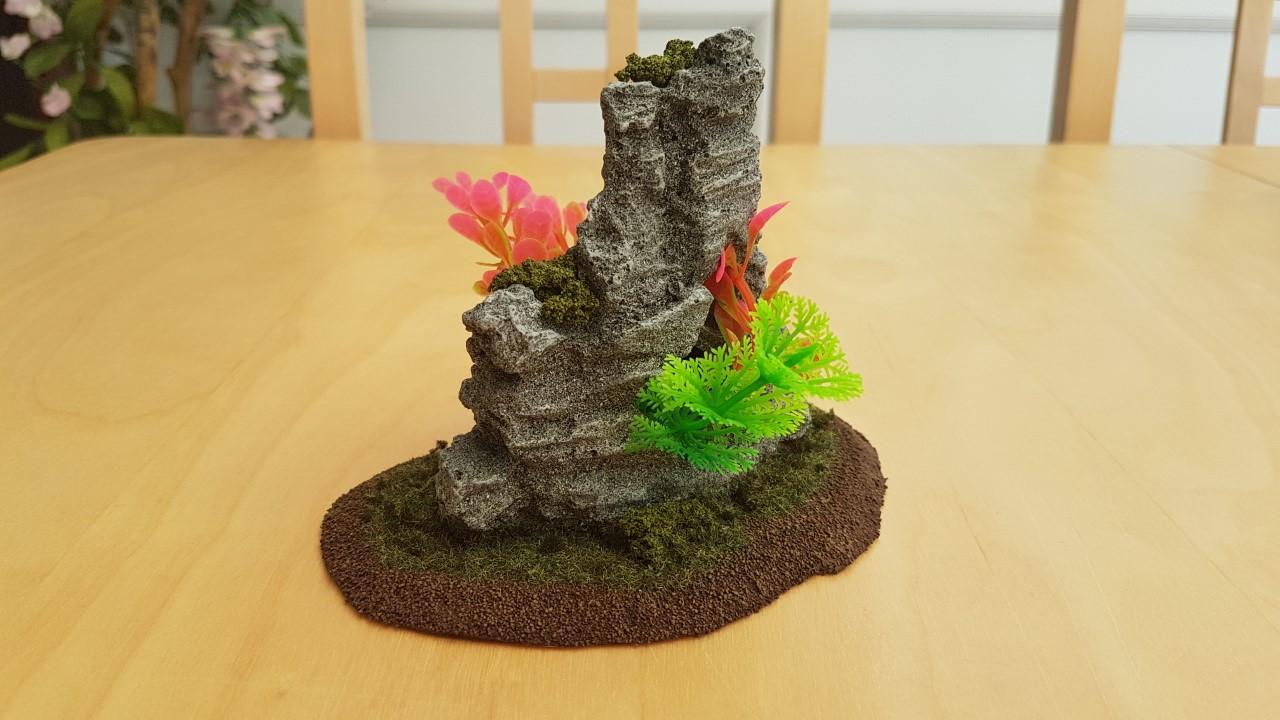 FIshtank Rock