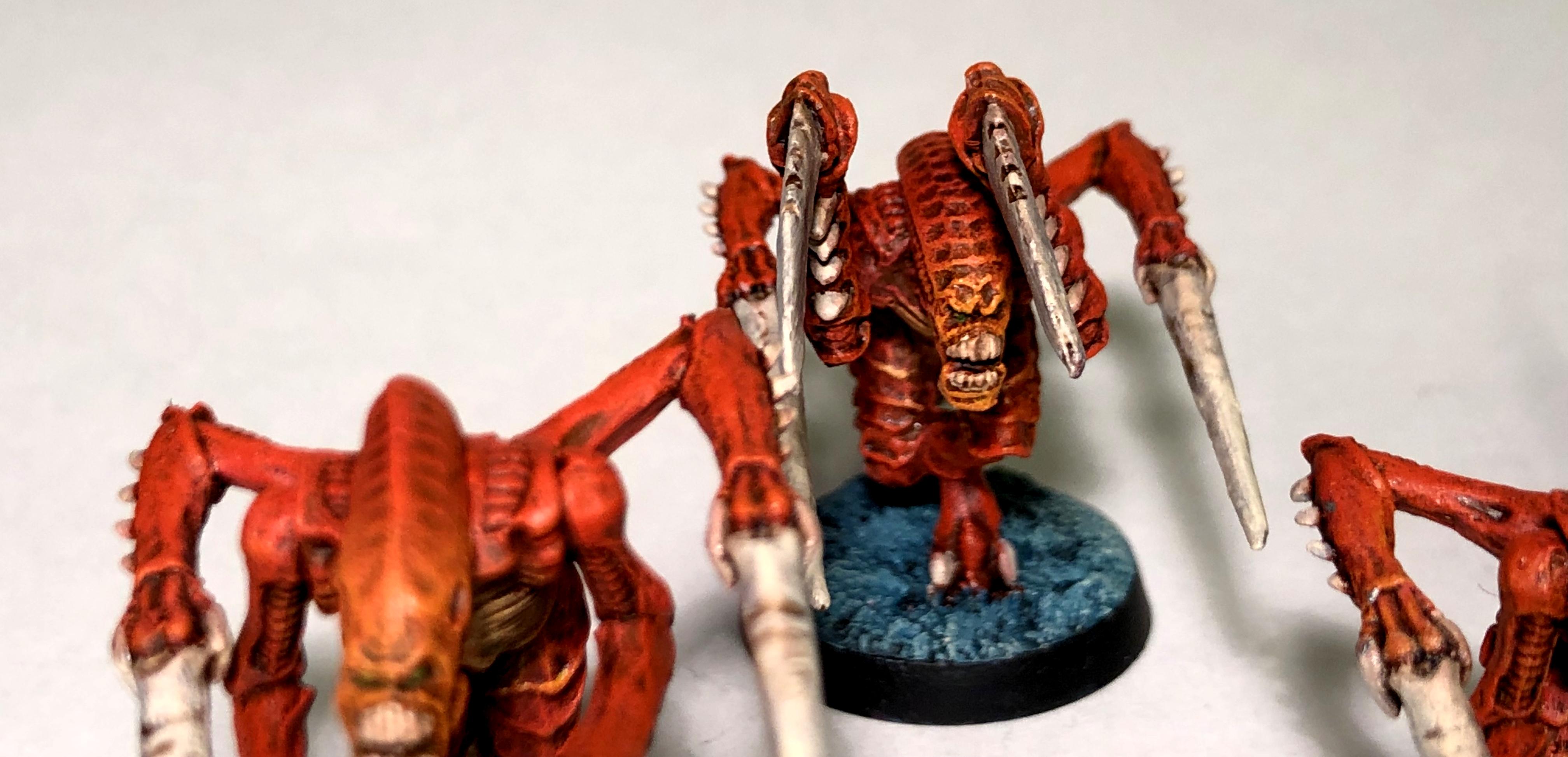 2nd Edition, Hormagaunts, Tyranids, Zog