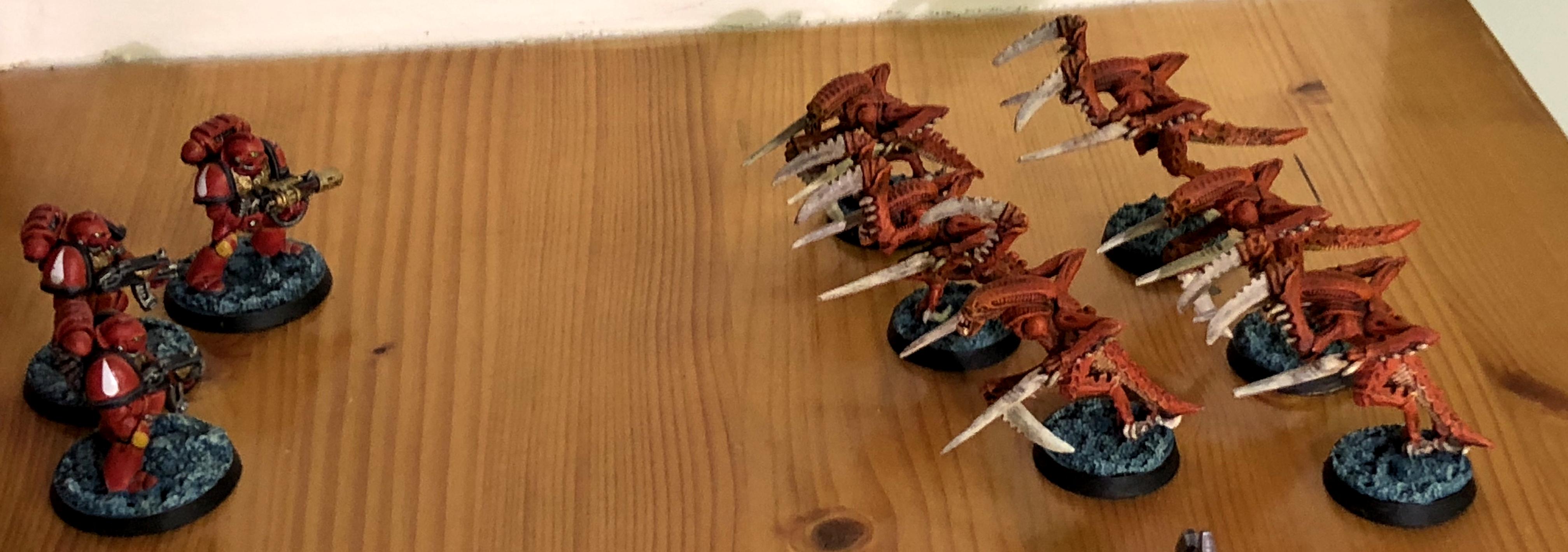 2nd Edition, Blood Angels, Hormagaunts, Space Marines, Tyranids, Zog