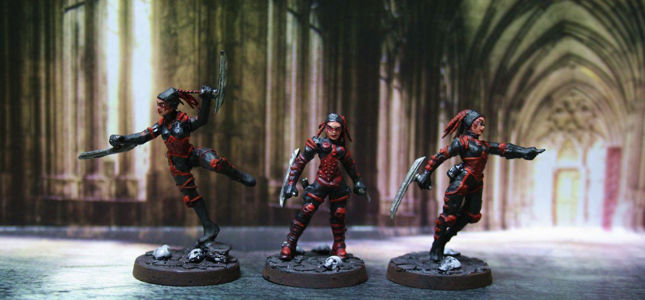 Adepta Sororitas, Death Cult Assassin, Inquisition