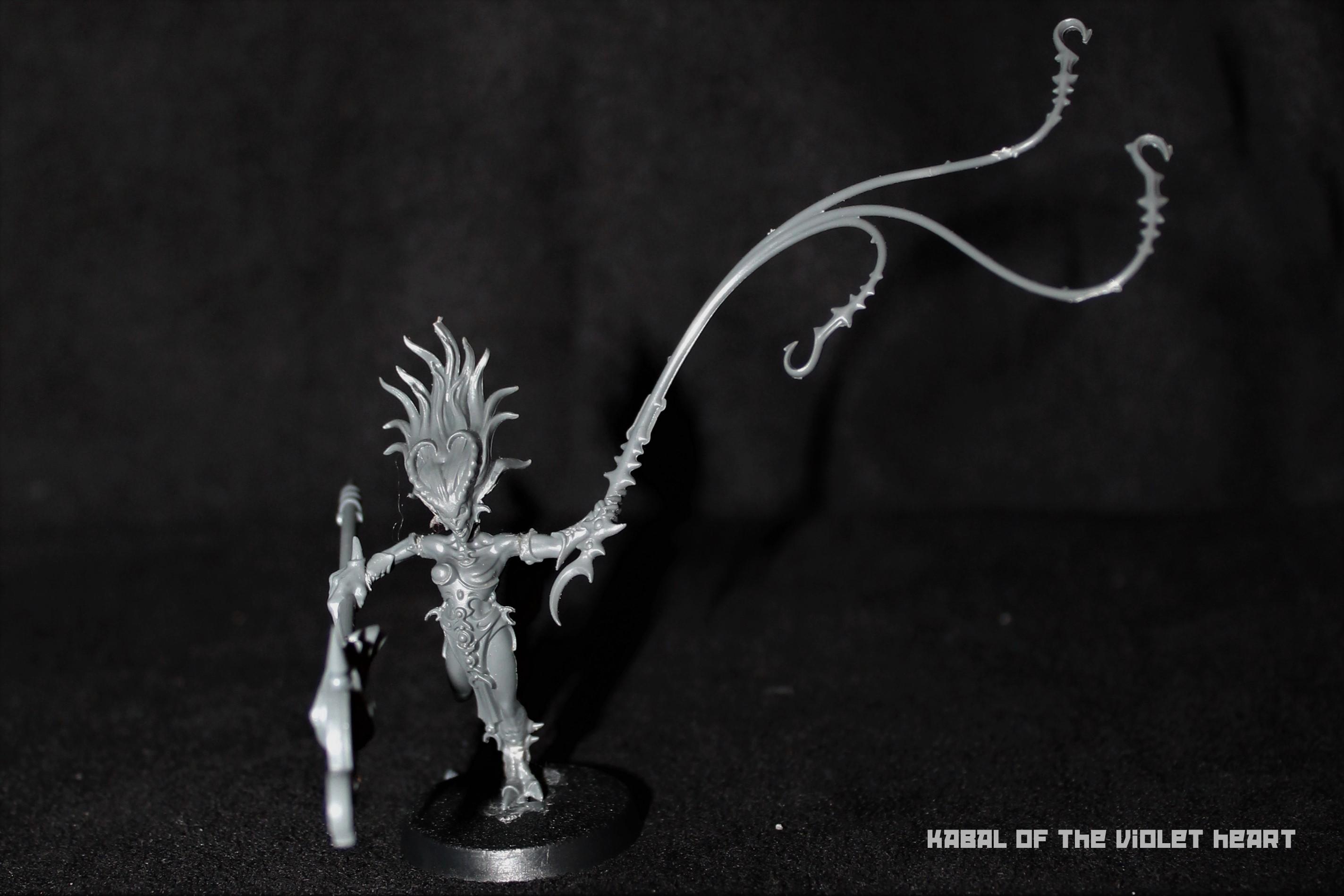 Drukhari, Kill Team, Slaanesh, Succubus