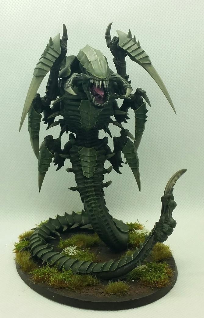 Trygon front