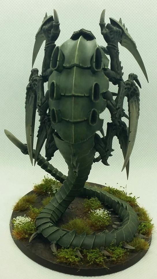 Trygon back