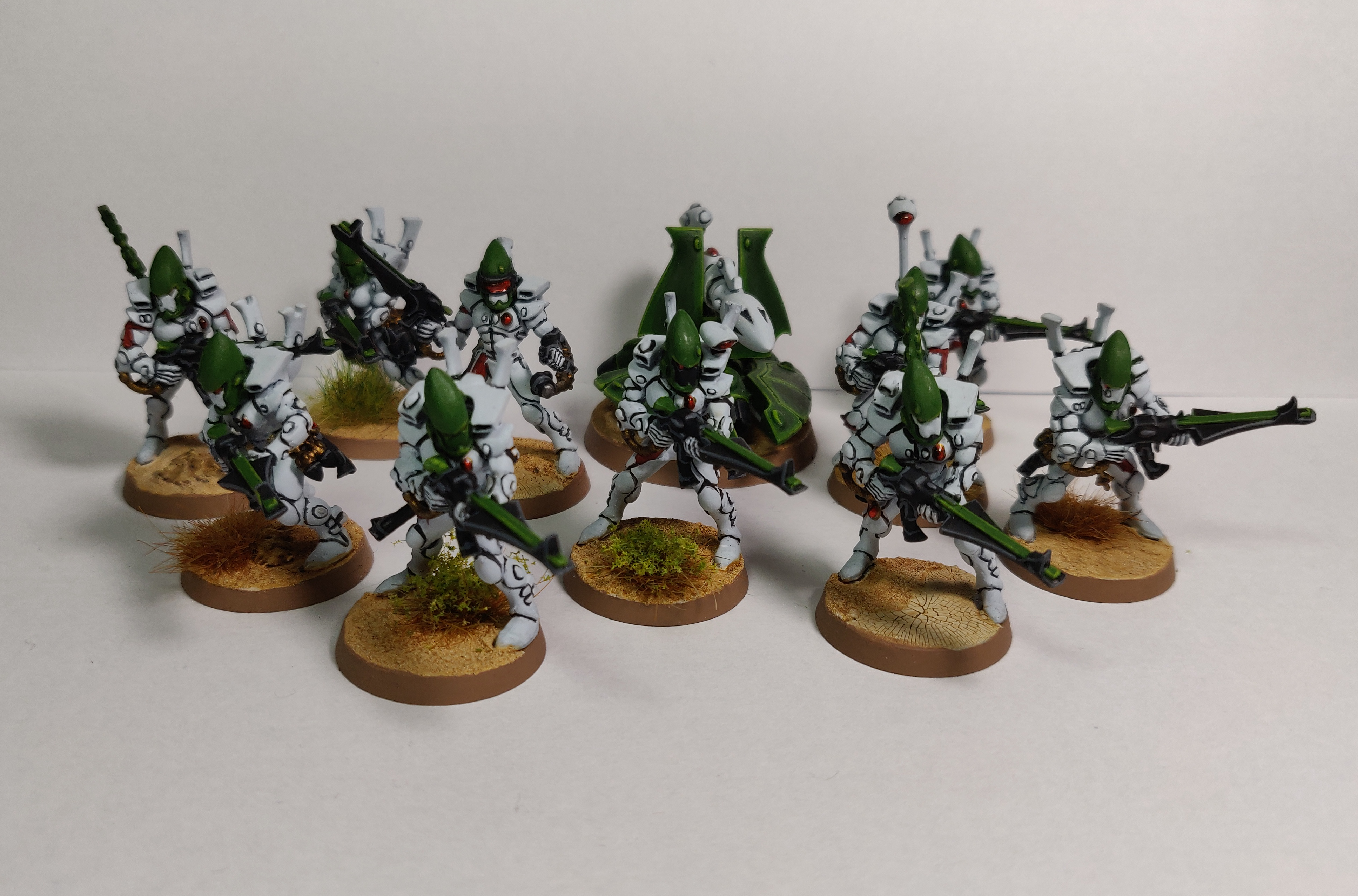 Biel-tan, Eldar, Biel-Tan Guardians