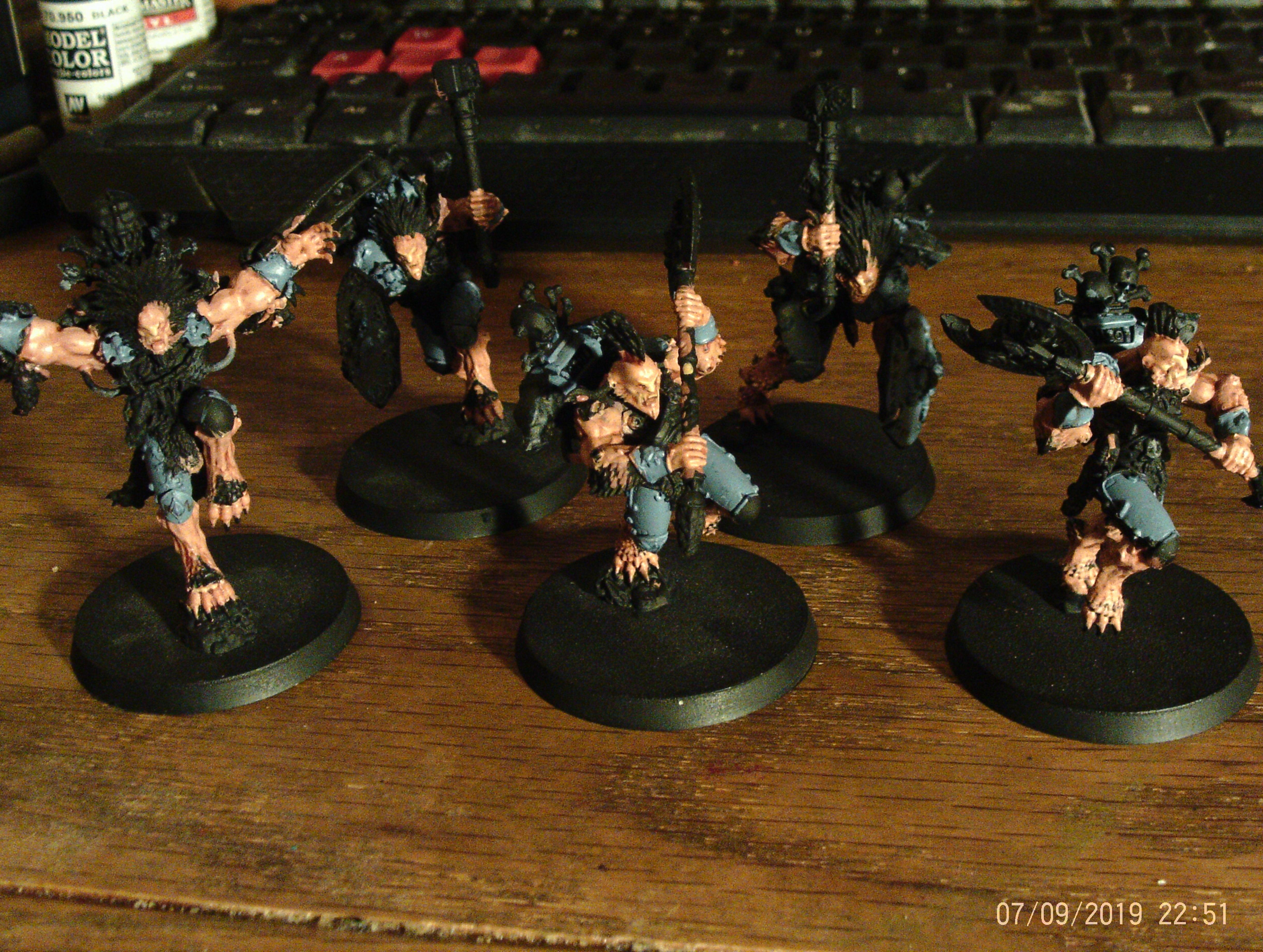 Wulfen WIP 1