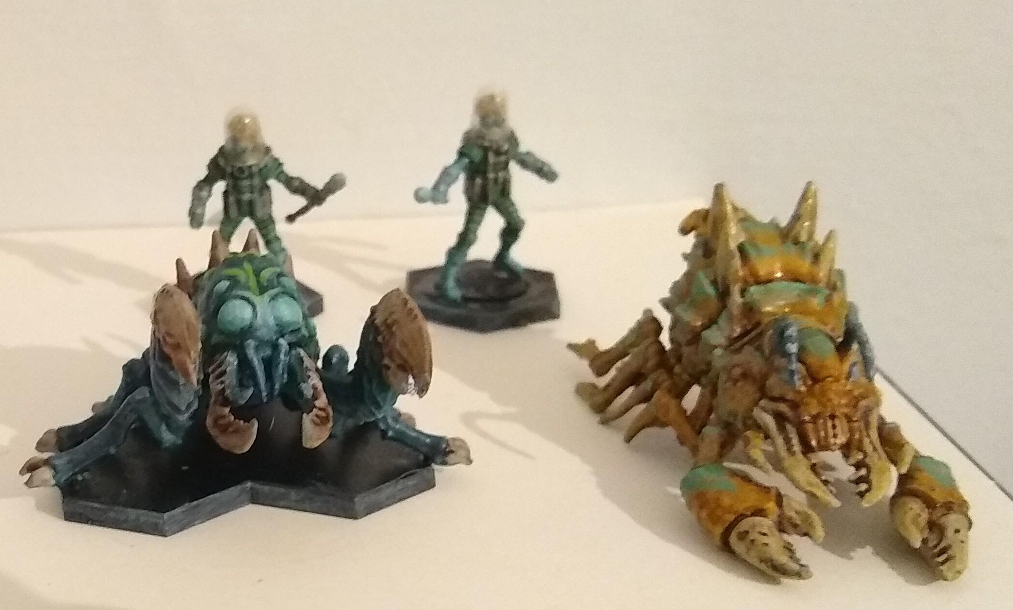Big Bugs!