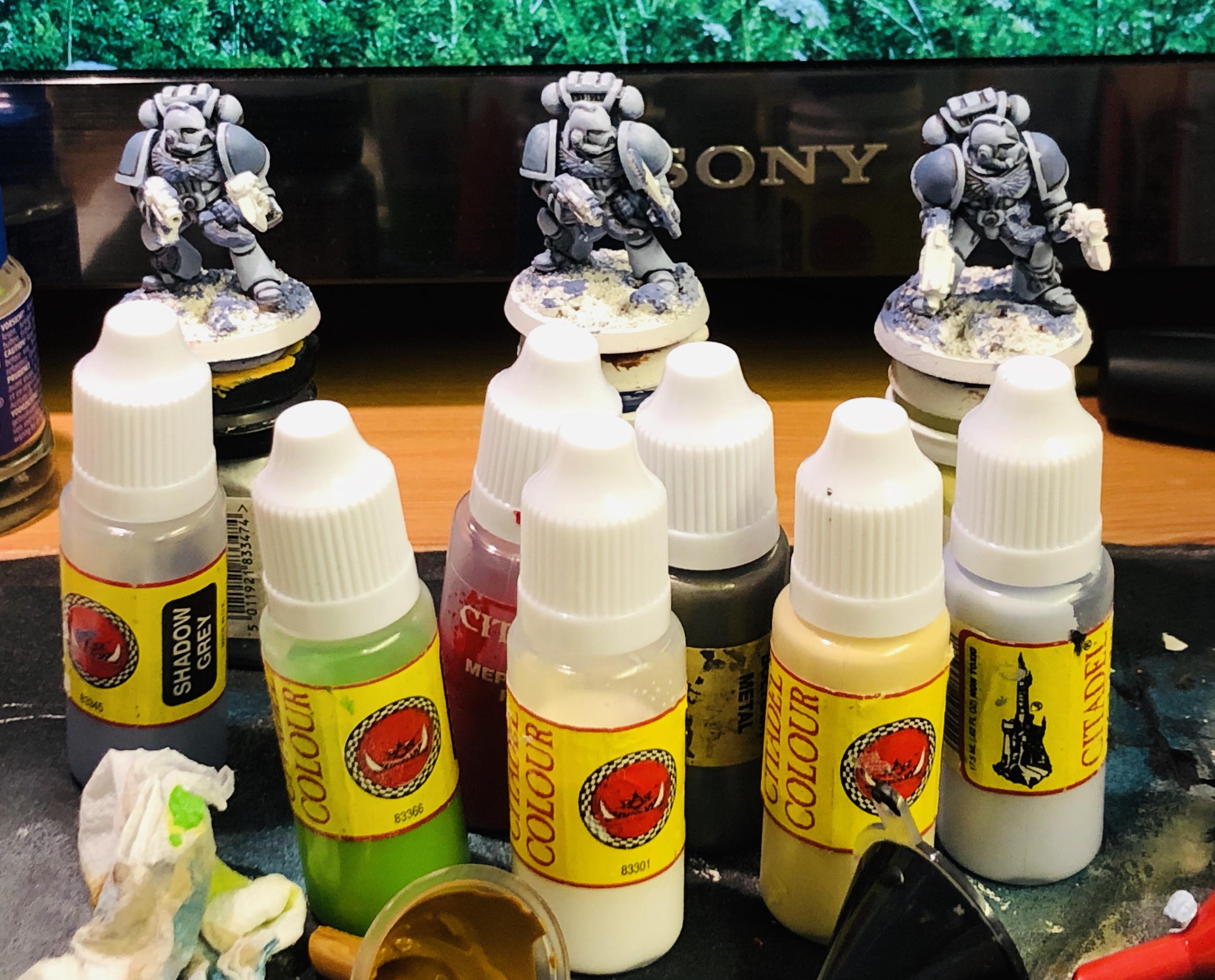 2nd Edition, Dropper Bottles, Space Marines, Space Wolves, Work In Progress