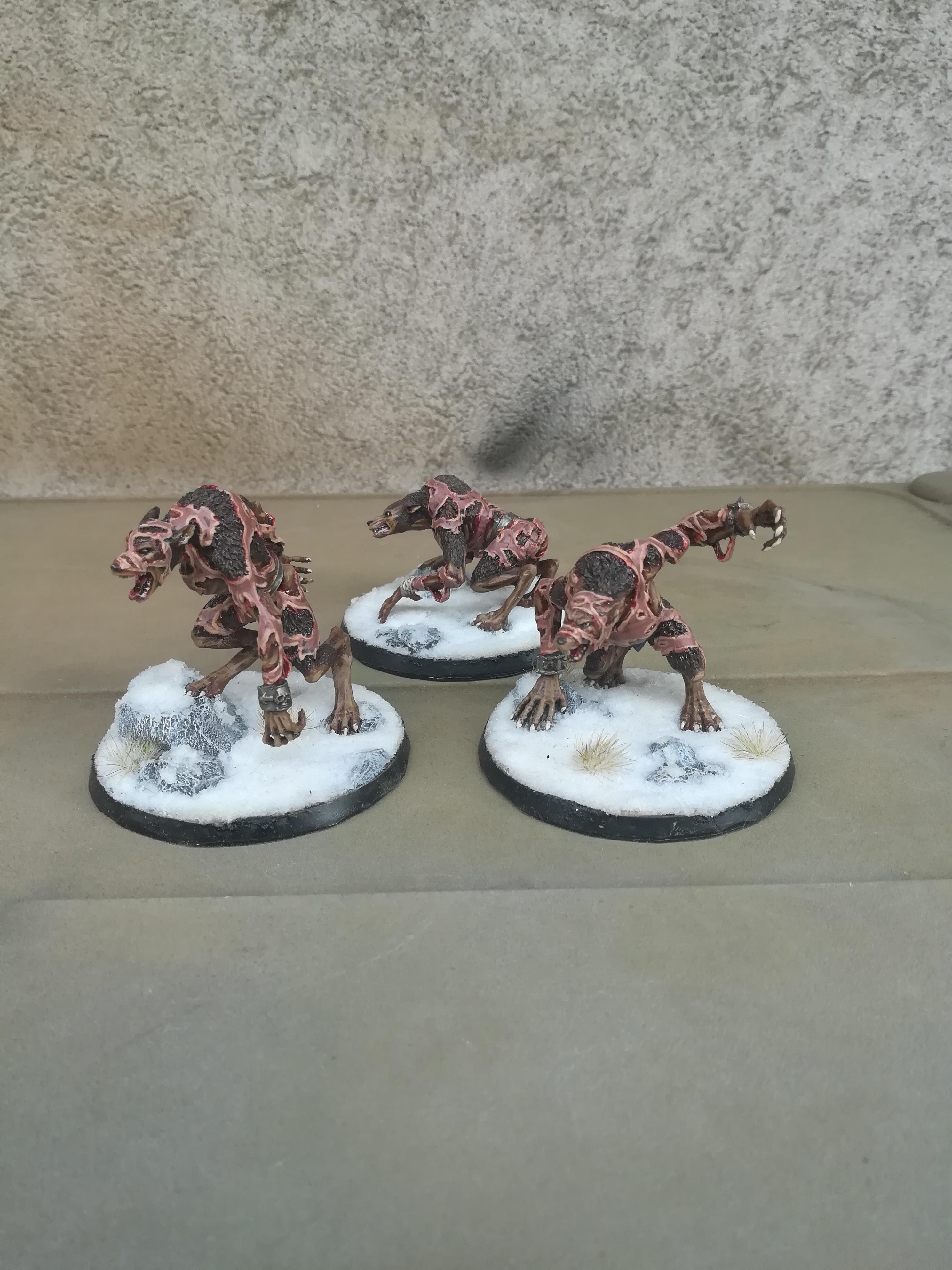 Age Of Sigmar, Ageof Sigmar, Chaos, Skin, Skin Volf, Skin Wolves, Warhammer Fantasy, Wolf, Wolves