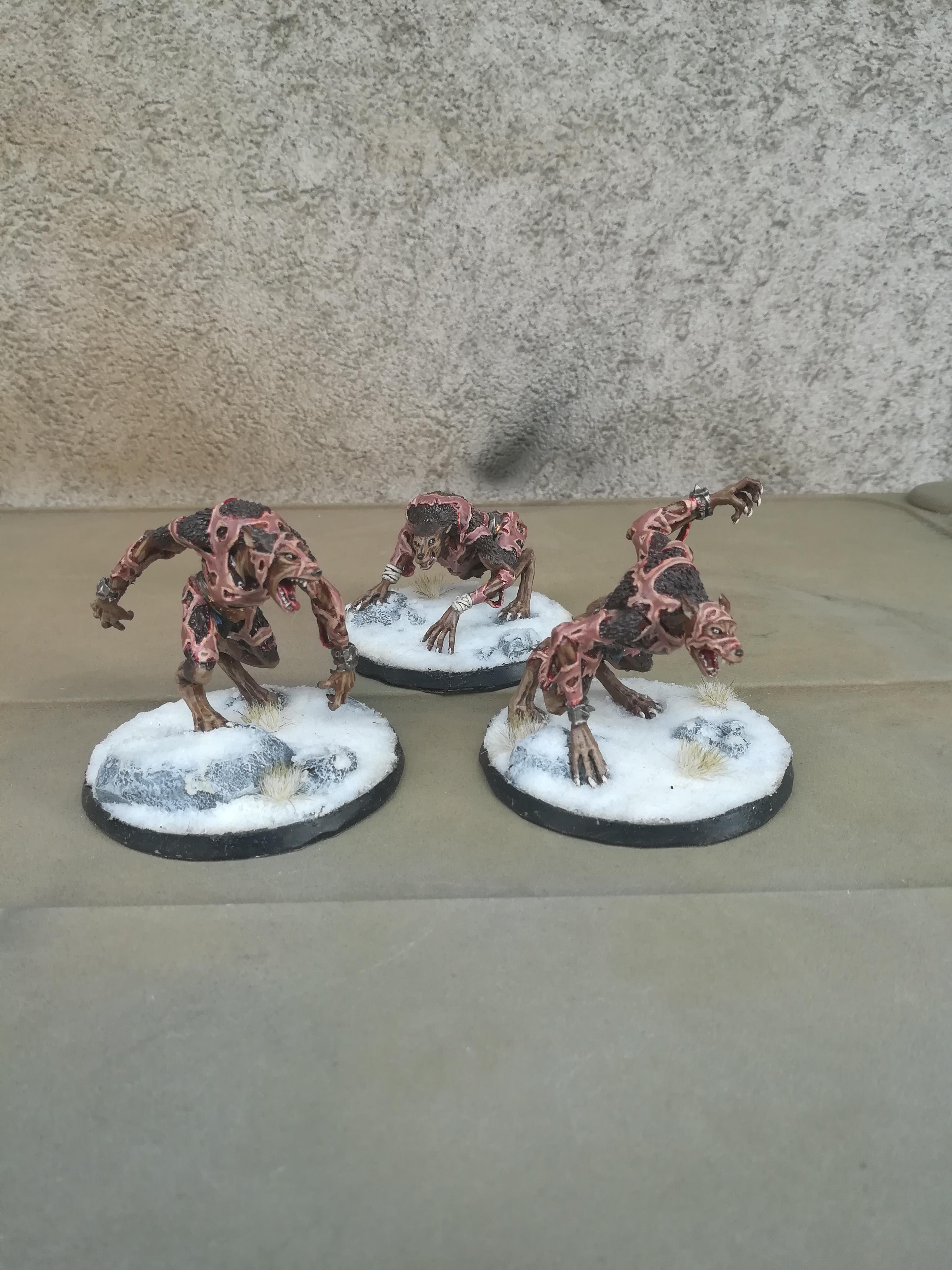 Age Of Sigmar, Ageof Sigmar, Chaos, Skin, Skin Volf, Skin Wolves, Warhammer Fantasy, Wolf, Wolves