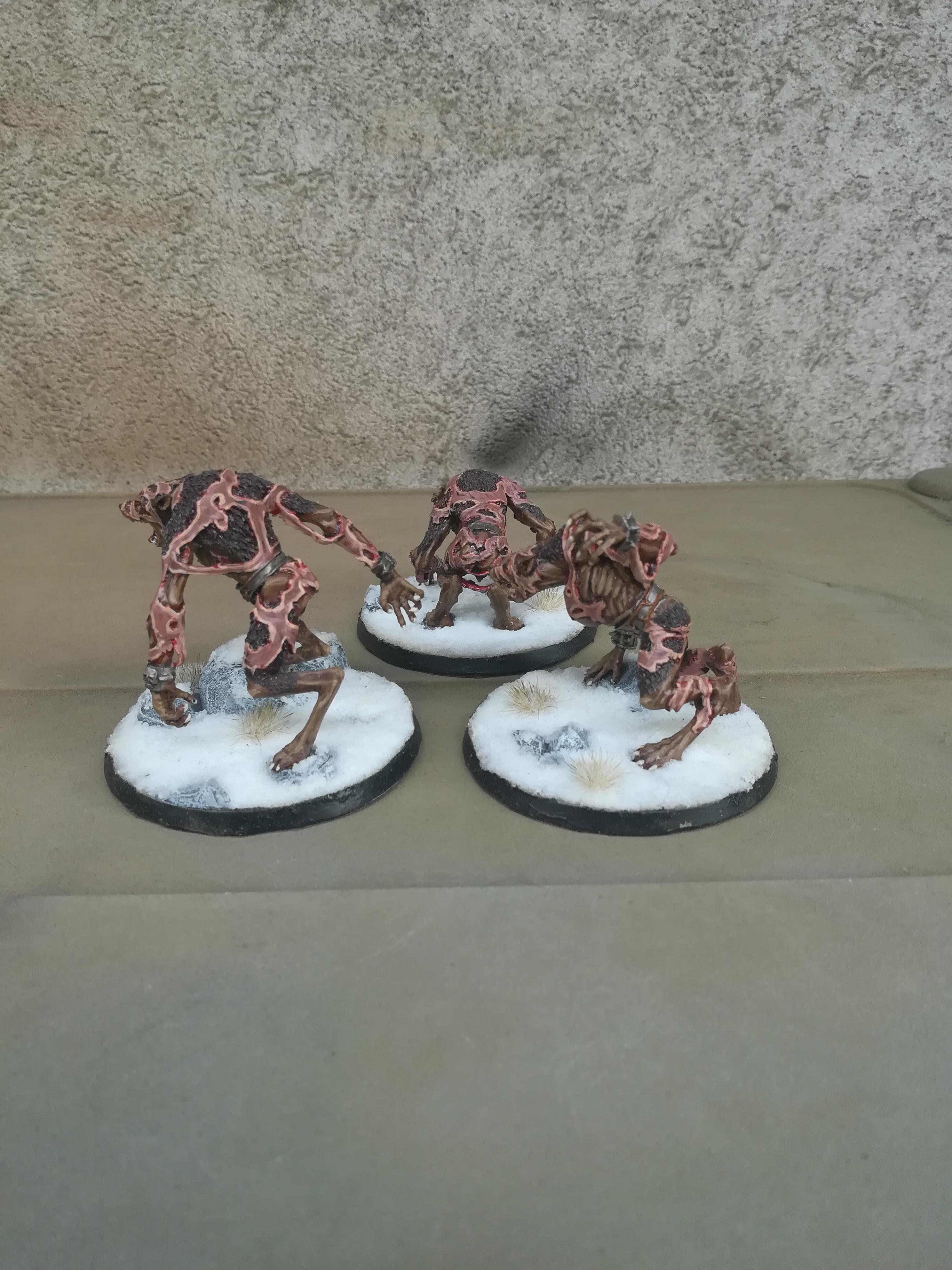 Age Of Sigmar, Ageof Sigmar, Chaos, Skin, Skin Volf, Skin Wolves, Warhammer Fantasy, Wolf, Wolves