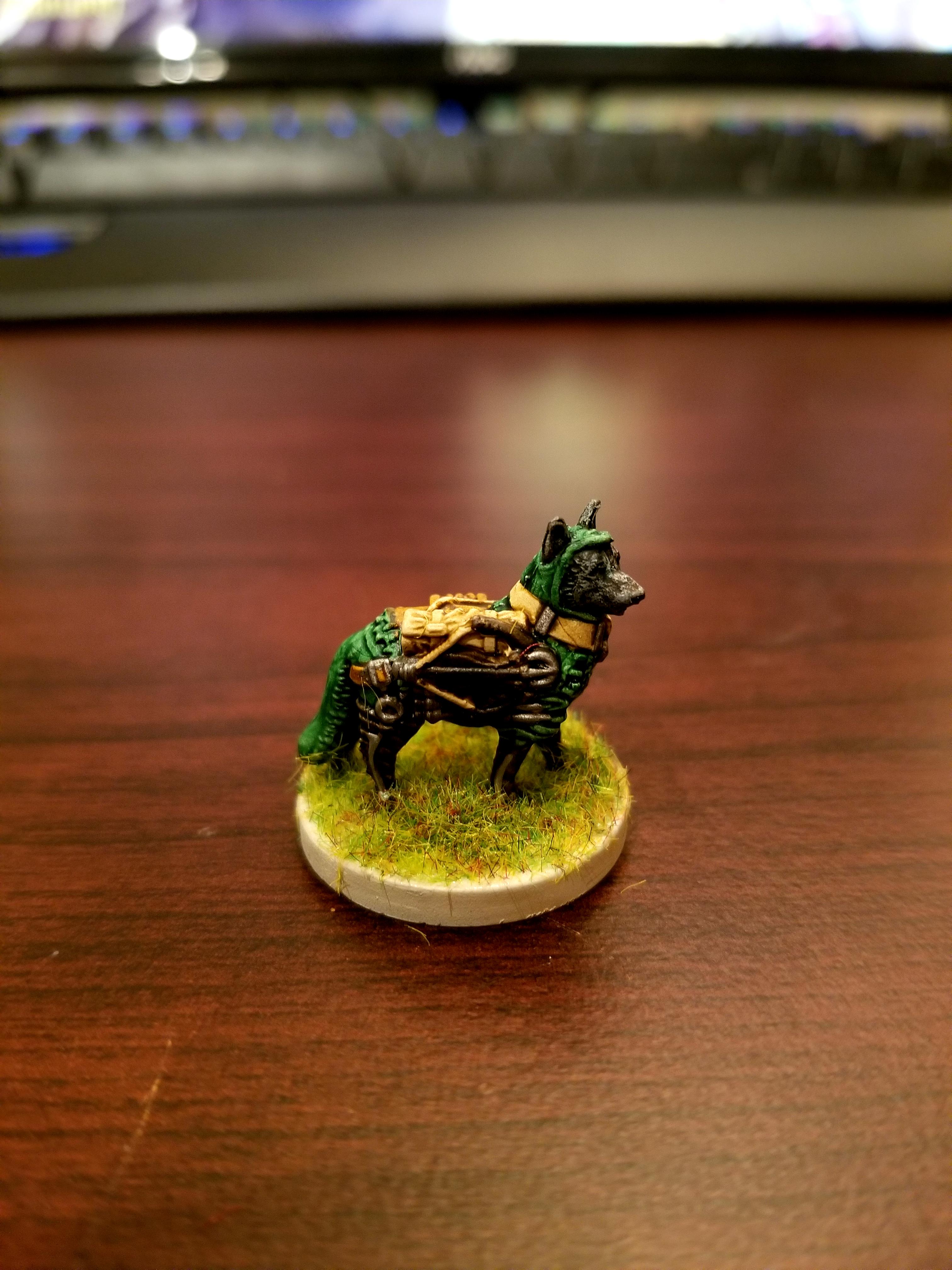 Blueheel, Dndoggies, Dog, Dungeons And Dragons, Rangers
