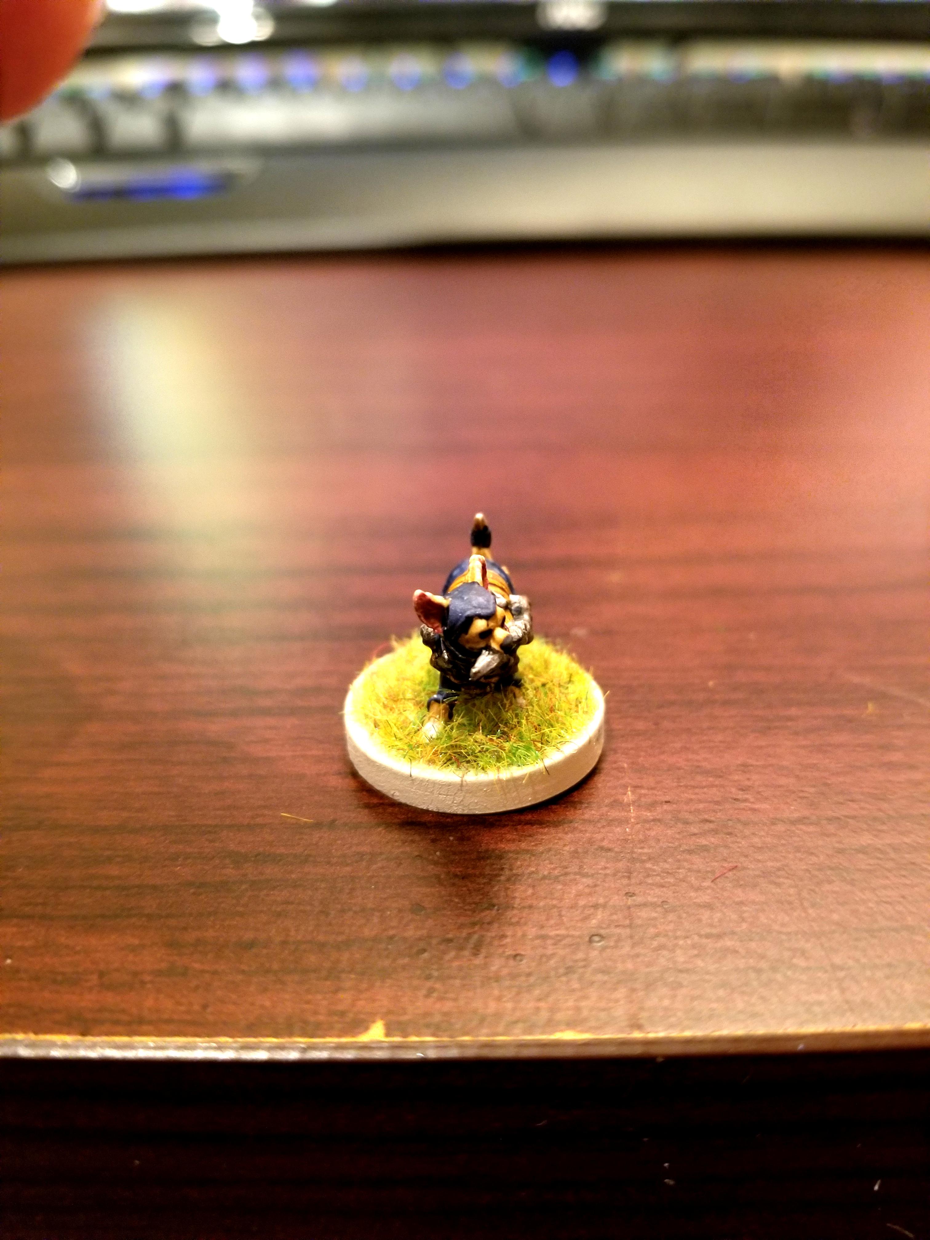 Chihuahua, Dndoggies, Dog, Dungeons And Dragons, Rogue