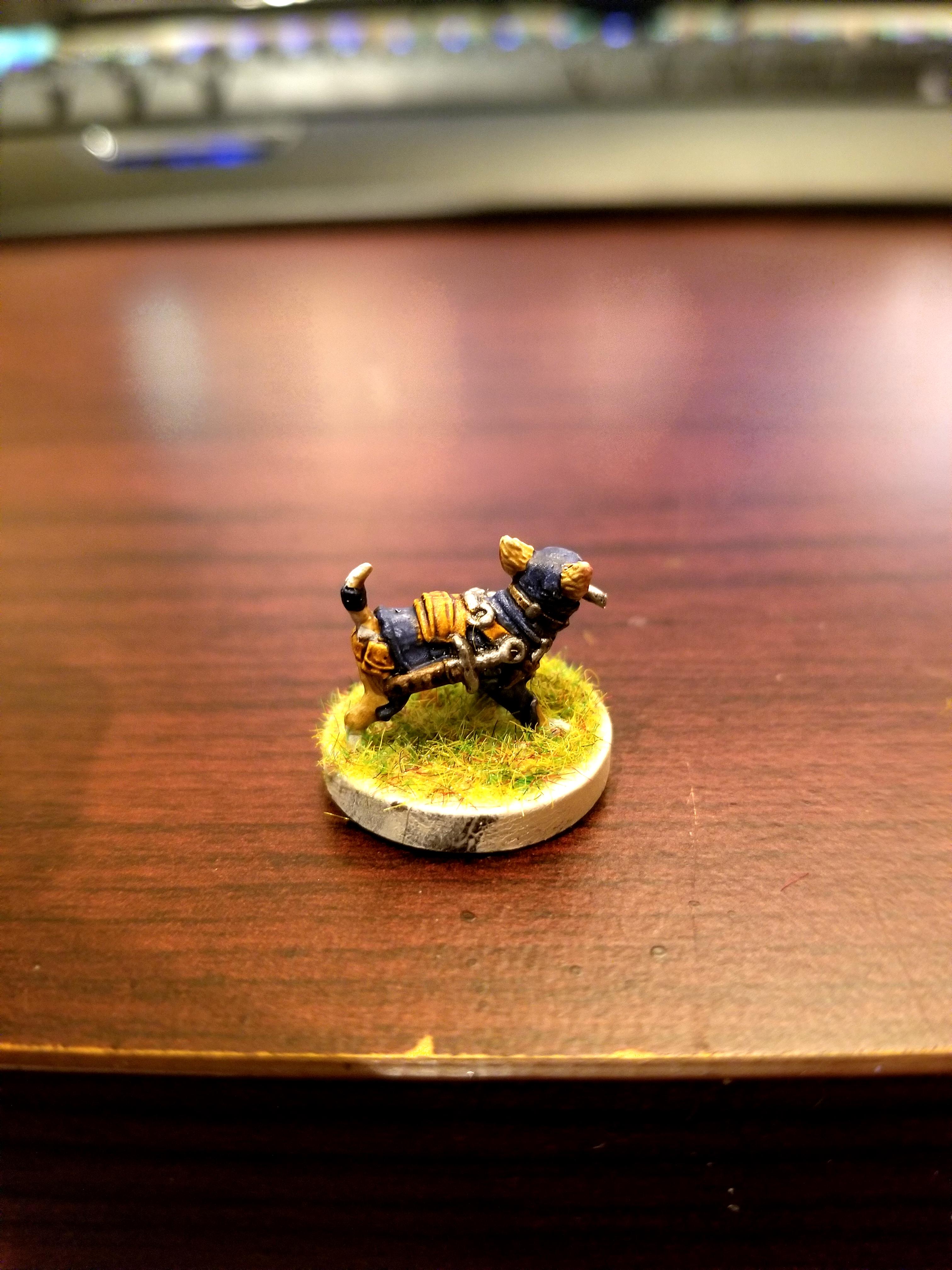 Chihuahua, Dndoggies, Dog, Dungeons And Dragons, Rogue