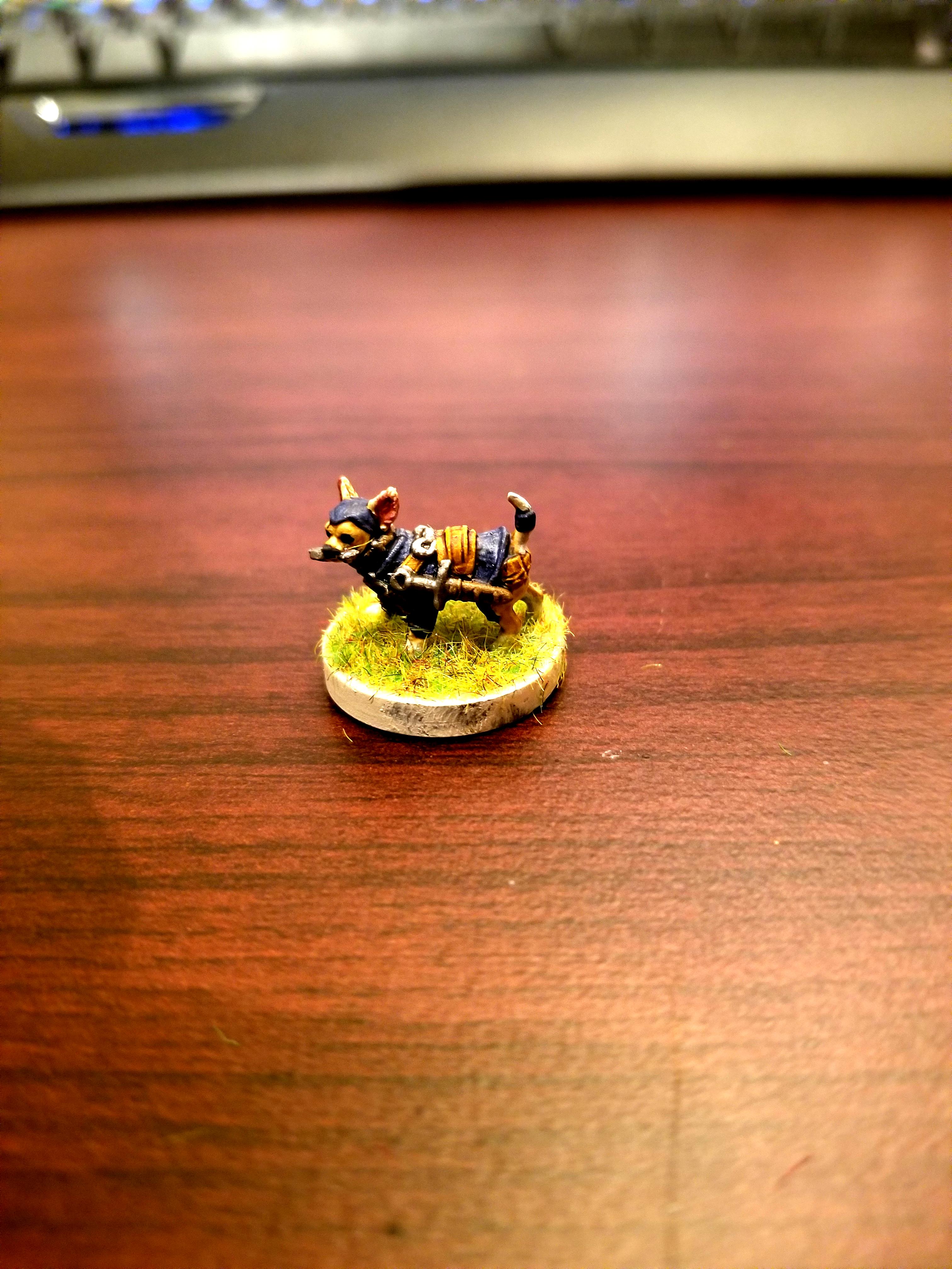 Chihuahua, Dndoggies, Dog, Dungeons And Dragons, Rogue