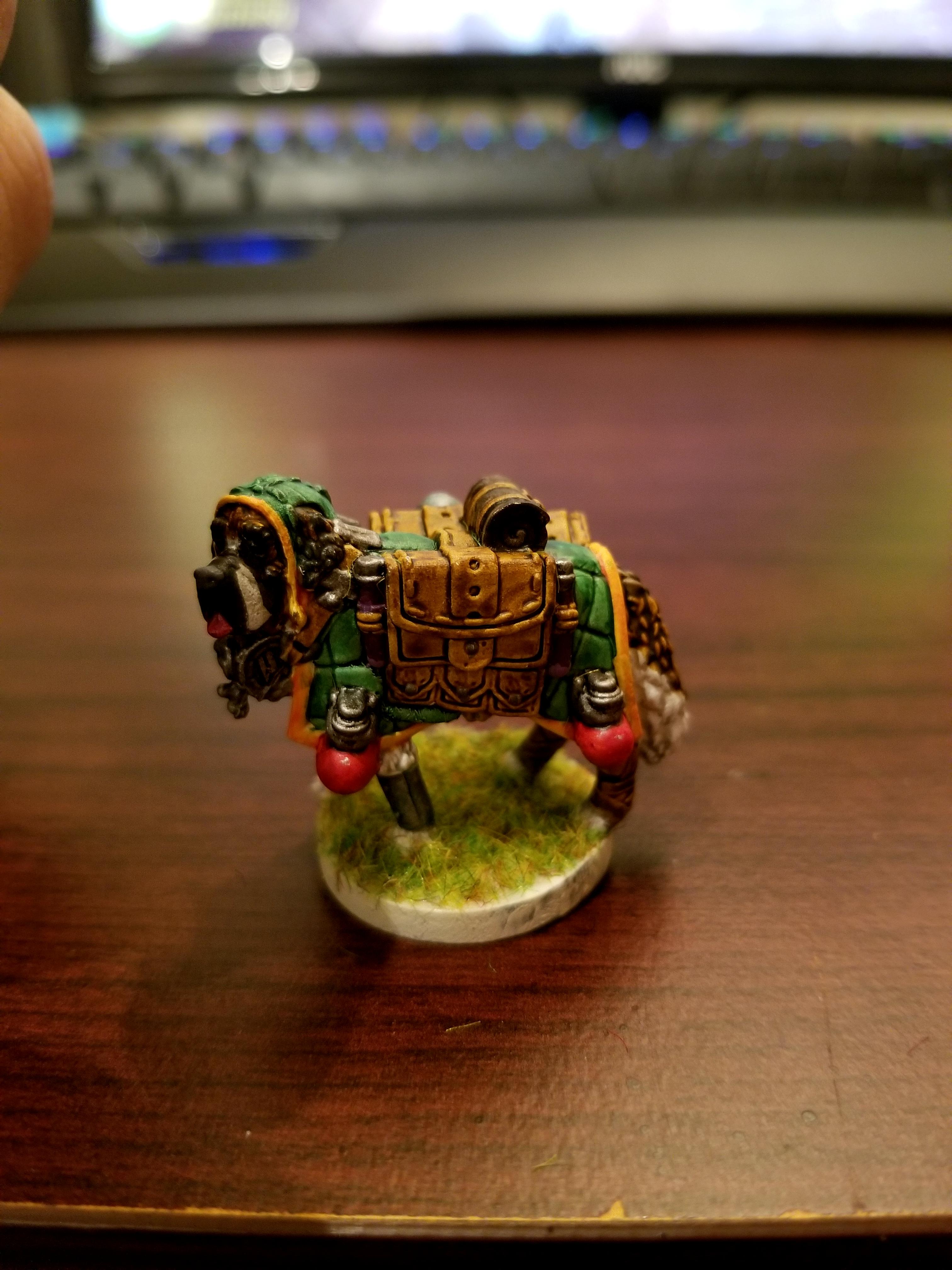 Cleric, Dndoggies, Dungeons And Dragons, St. Bernard Dog