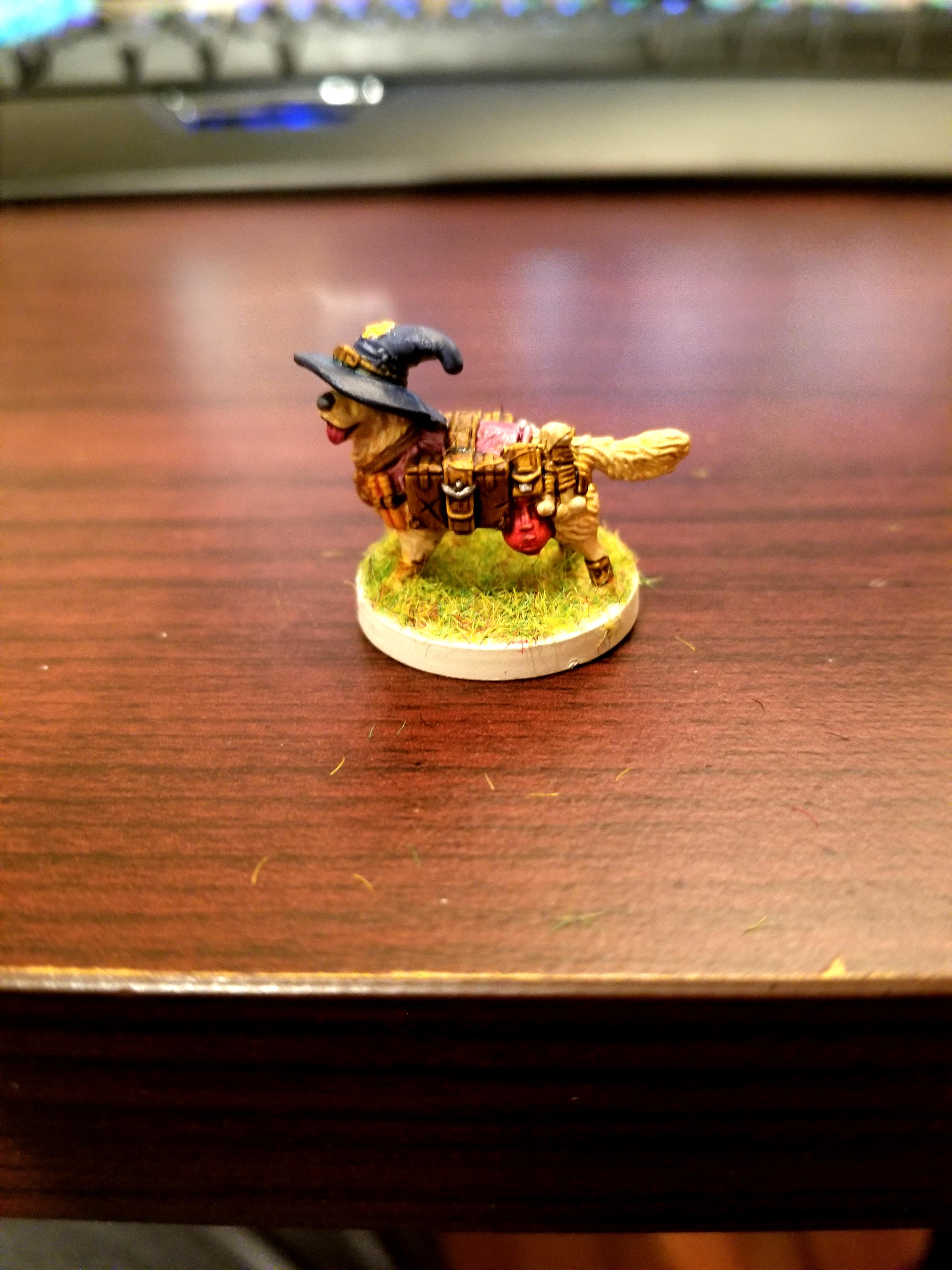 Dndoggies, Dog, Dungeons And Dragons, Golden Retriever, Wizard