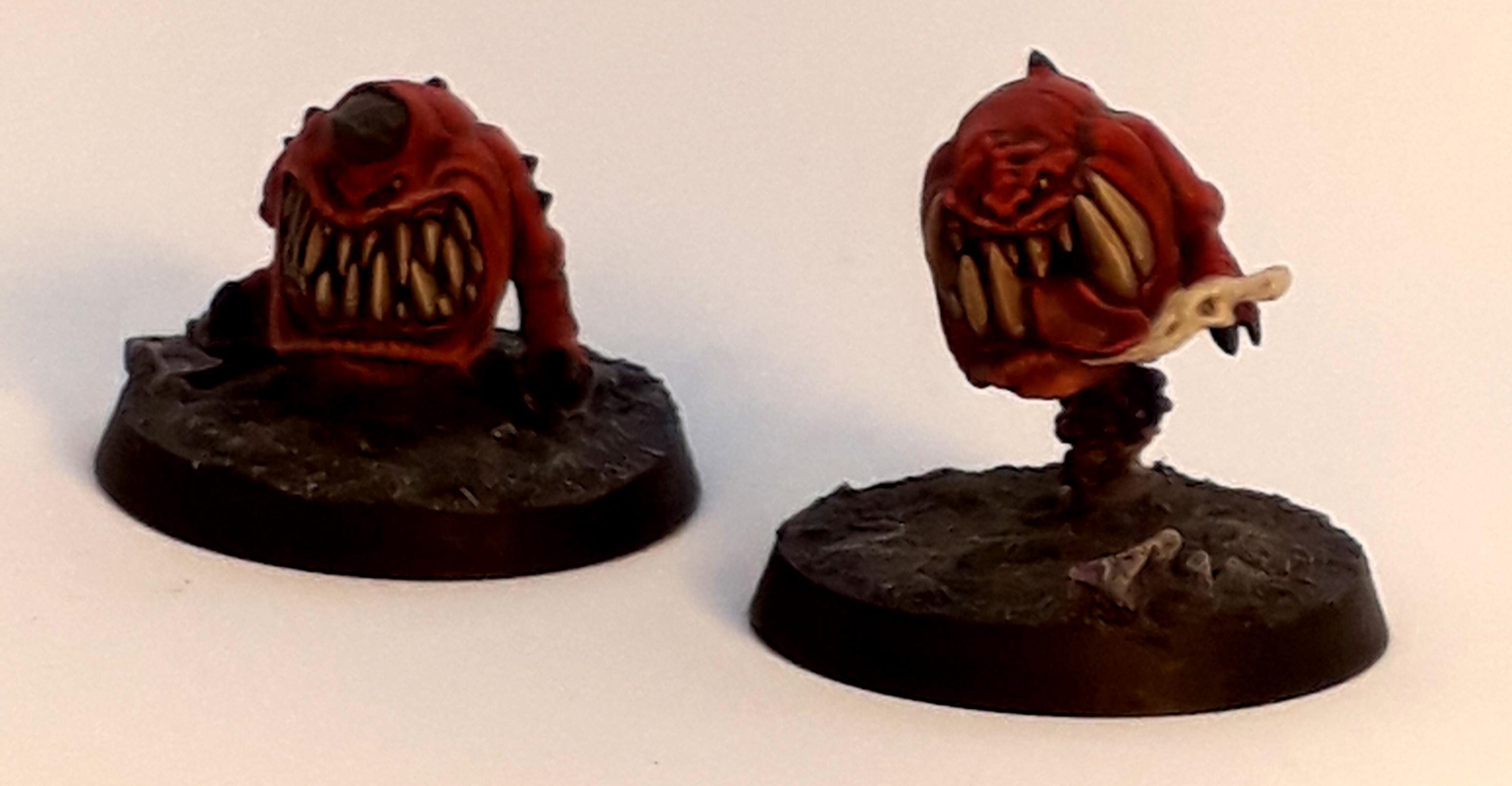 Squig 1.1