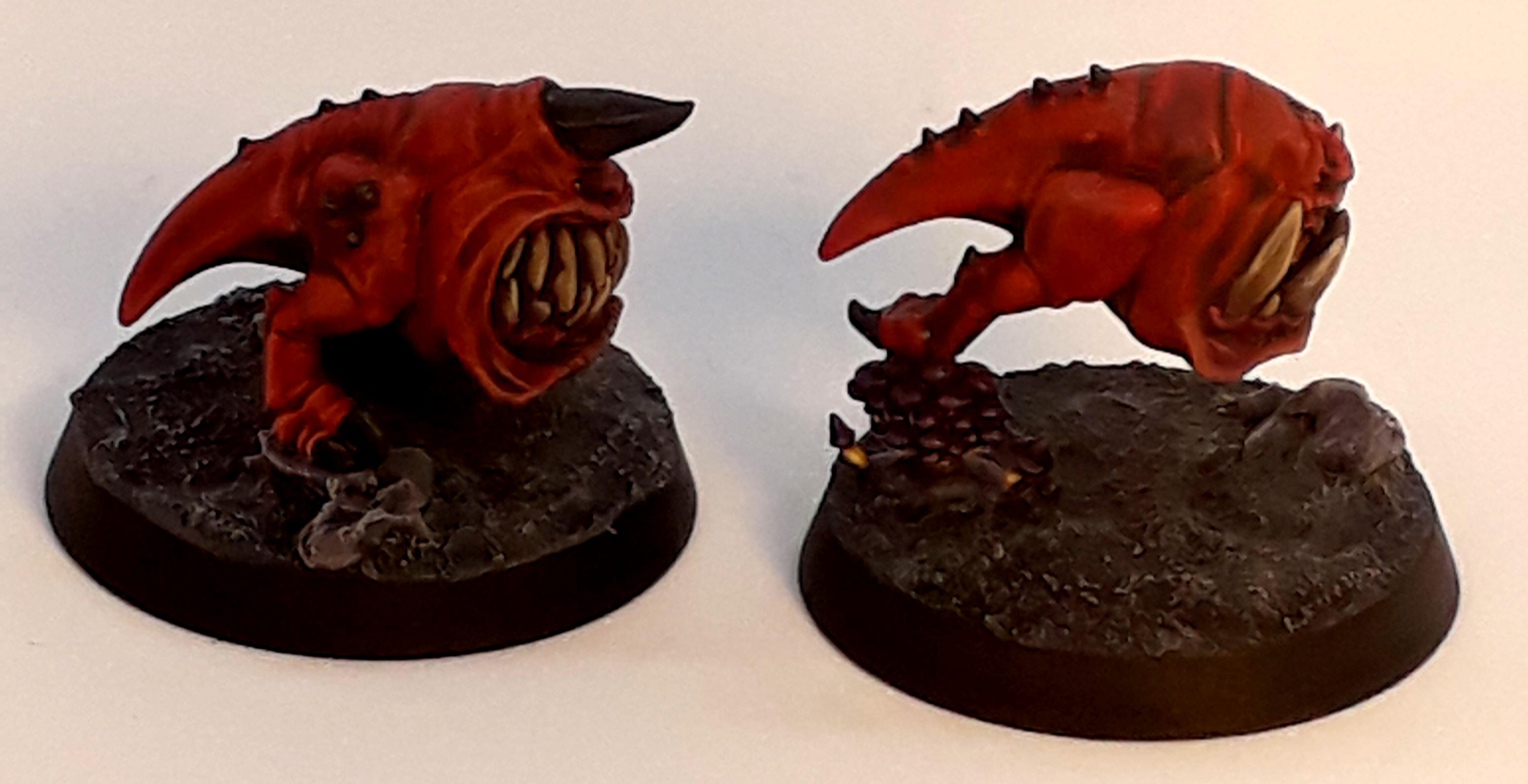 Squig 1.2
