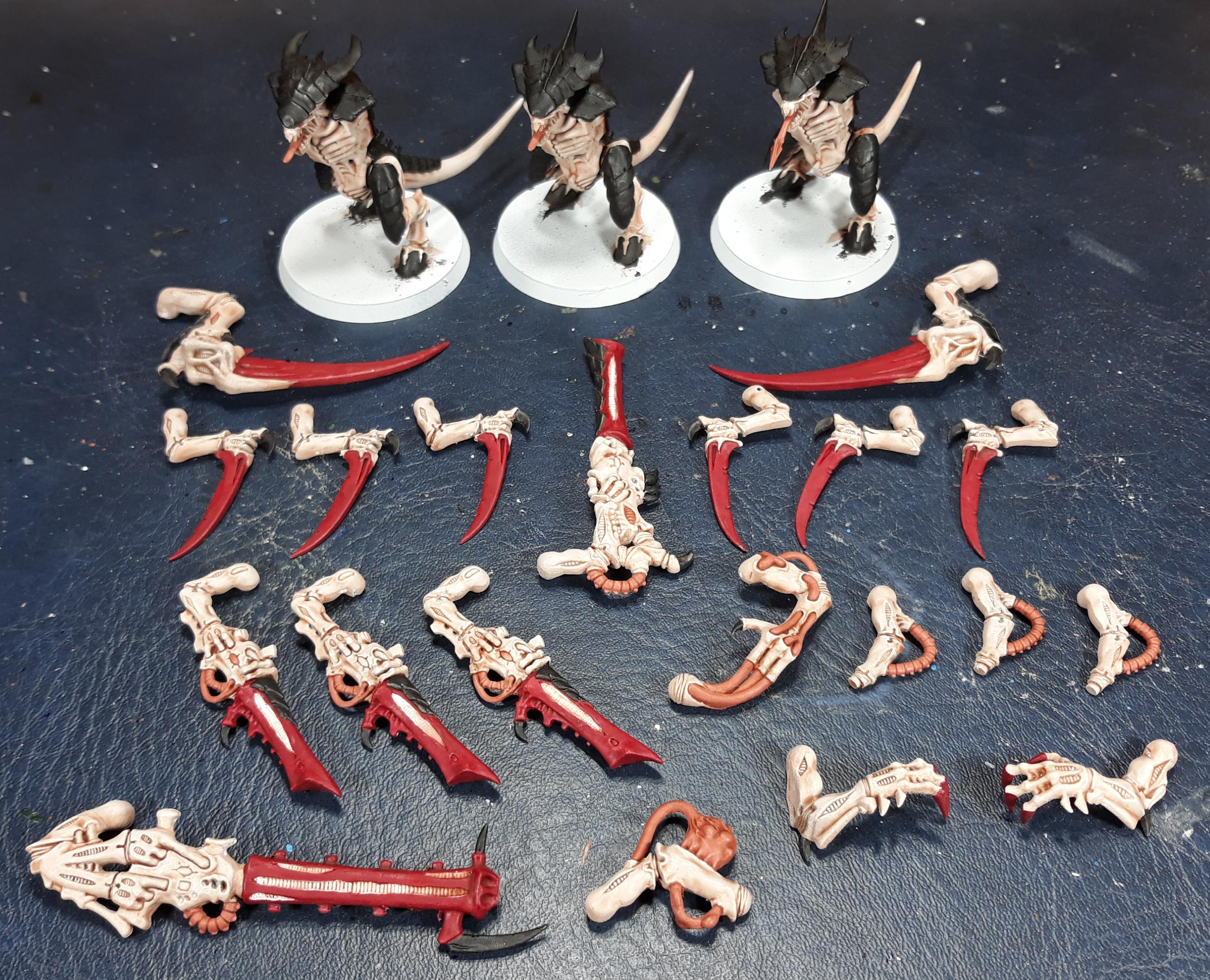 Tyranid Warriors Done