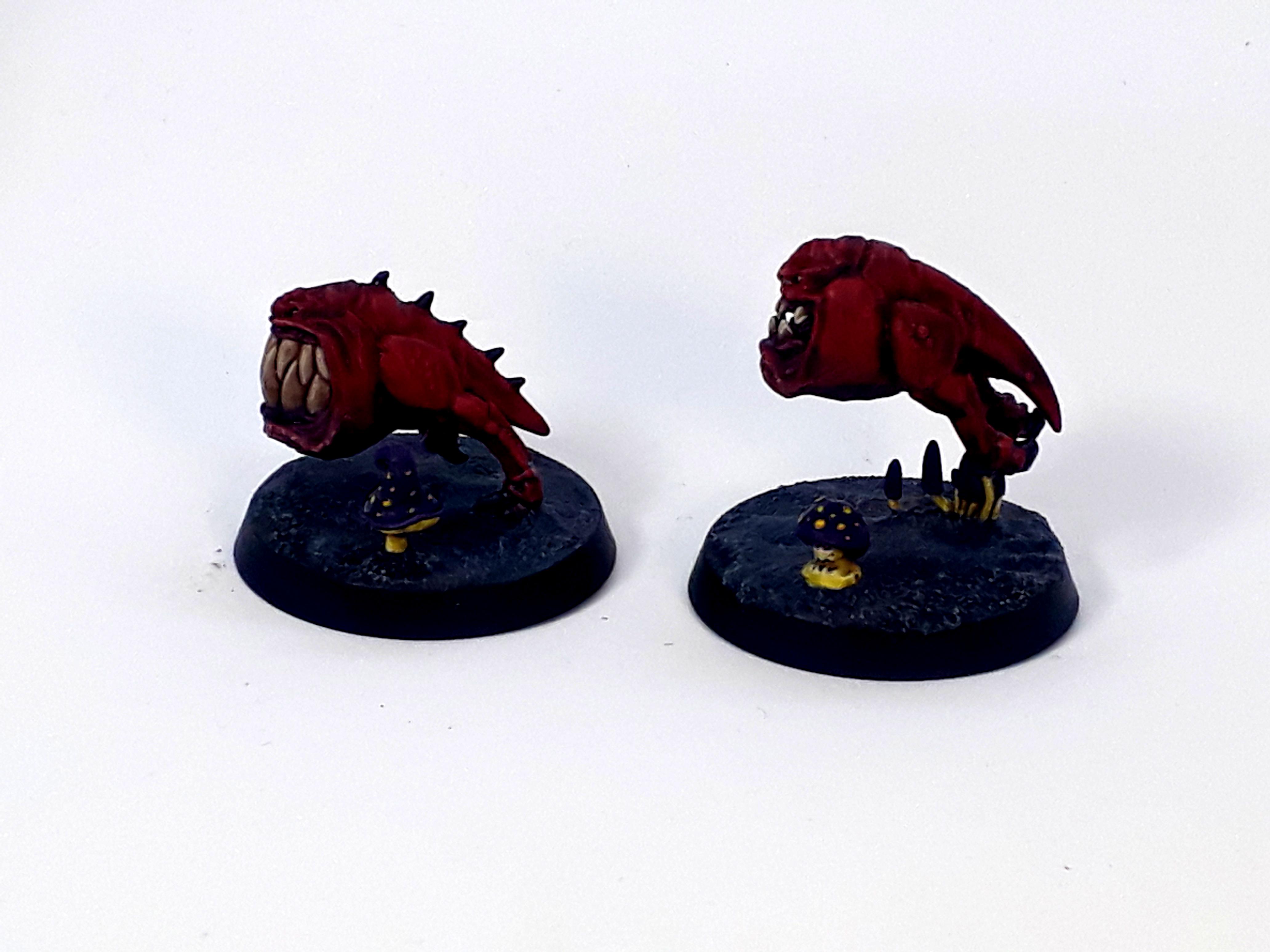Squig 2.2