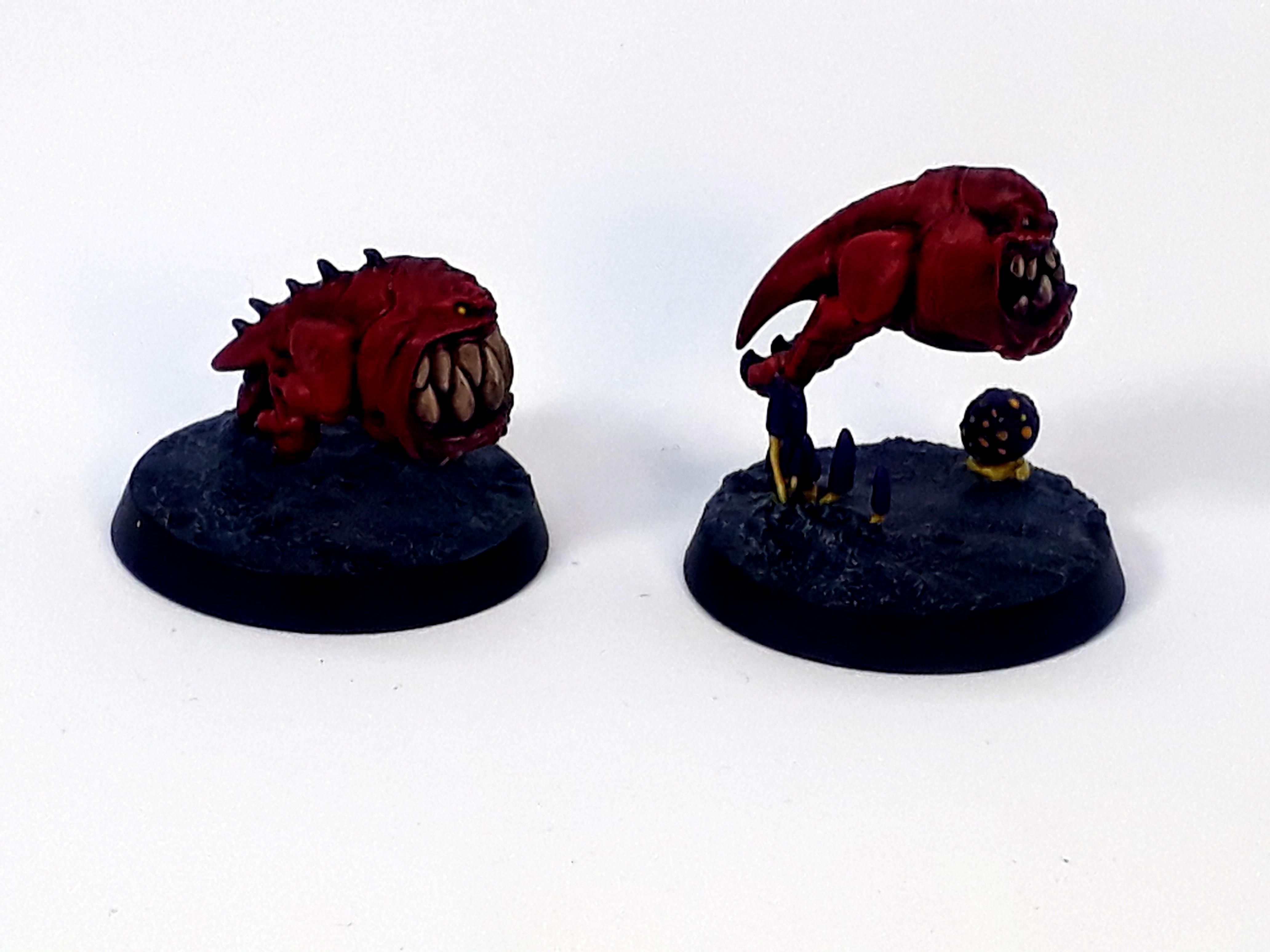 Squig 2.4